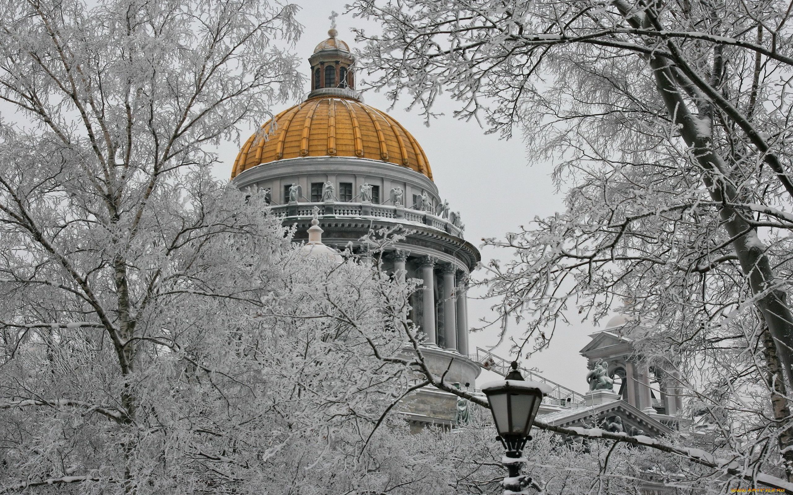 St. Petersburg, Peterhof, Russia, Winter Trees, city Wallpaper HD, Wallpaper13.com