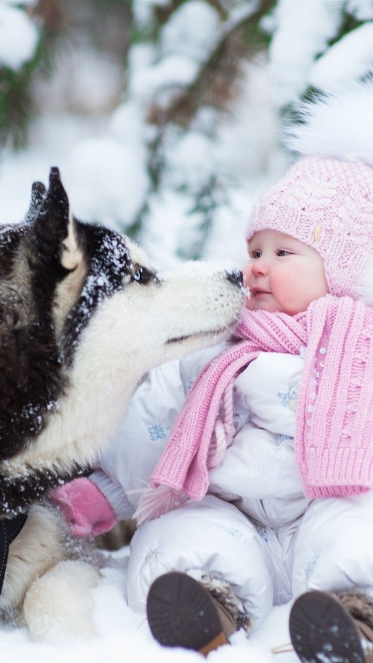 iPhone Wallpaper Husky Dog And Cute Baby, Thick Snow Baby Wallpaper Winter Season
