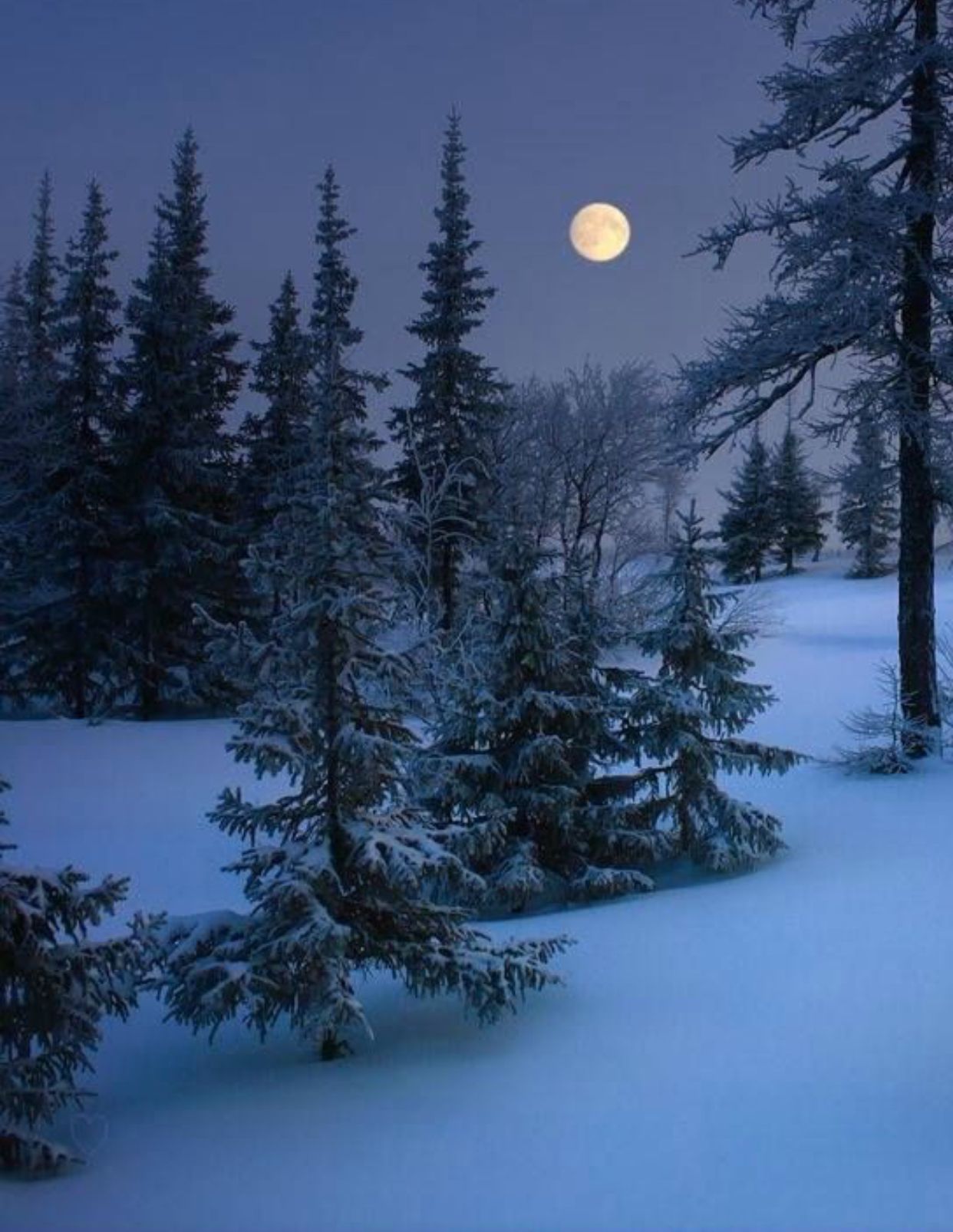 Magic Winter Moon Wallpapers - Wallpaper Cave