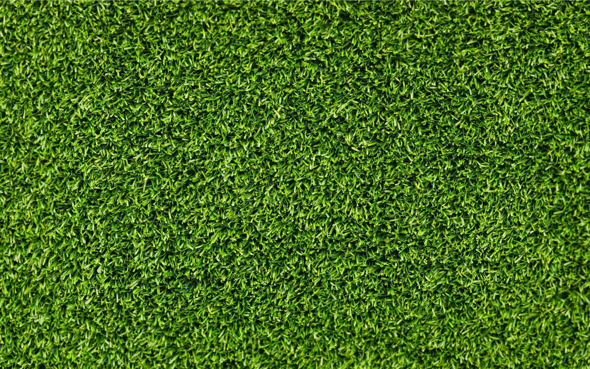 green grass #grass #texture P #wallpaper #hdwallpaper #desktop. Grass textures, Grass background, Grass vector