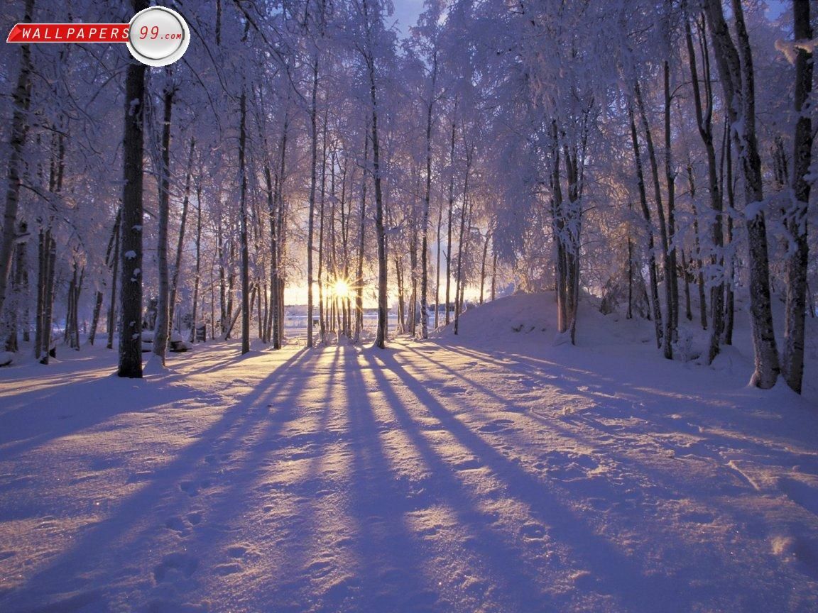 Snow Scene High Definition Wallpaper