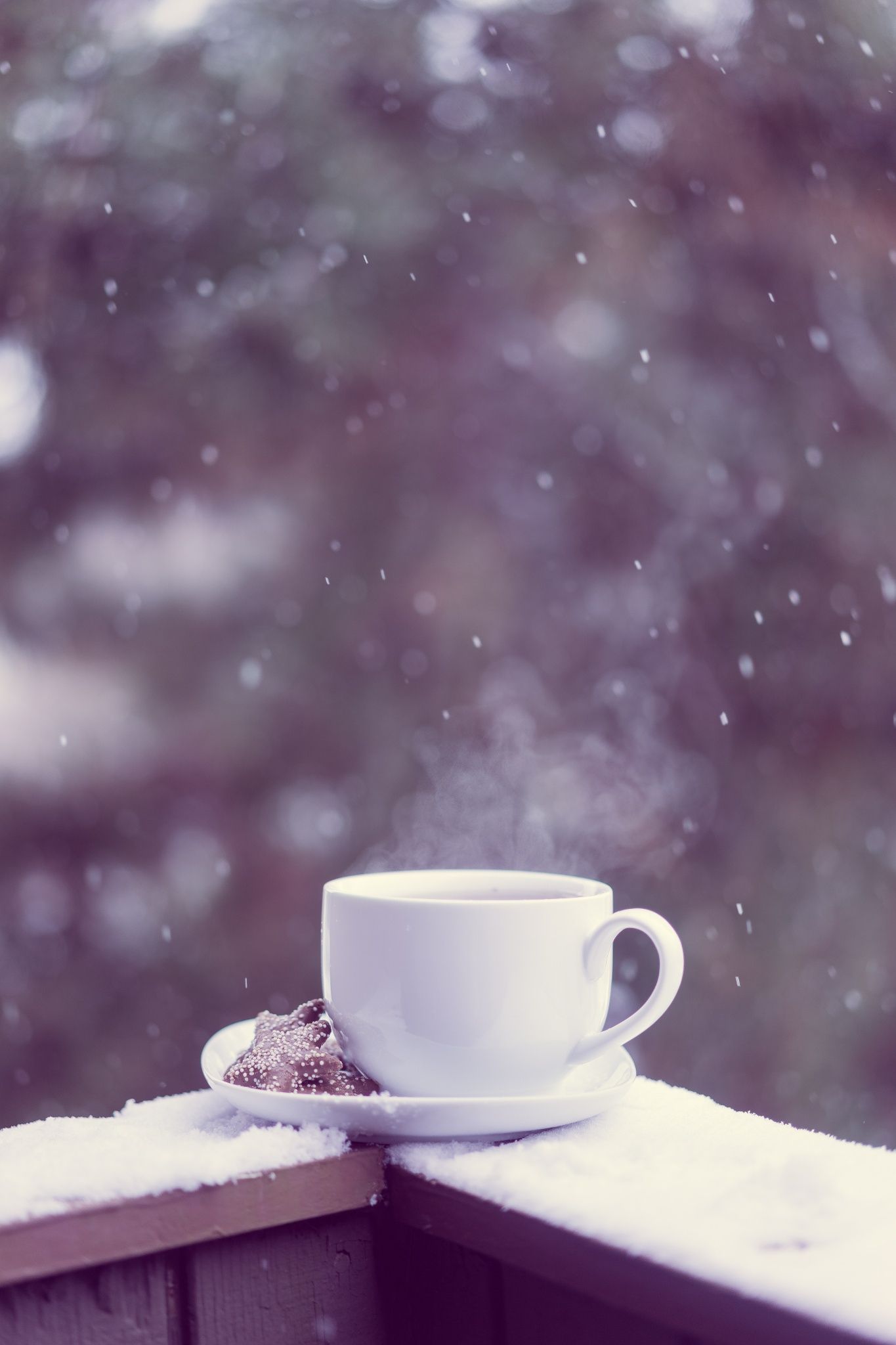 Cup of hot tea and cookies outside. Hot tea, Winter tea, Winter coffee