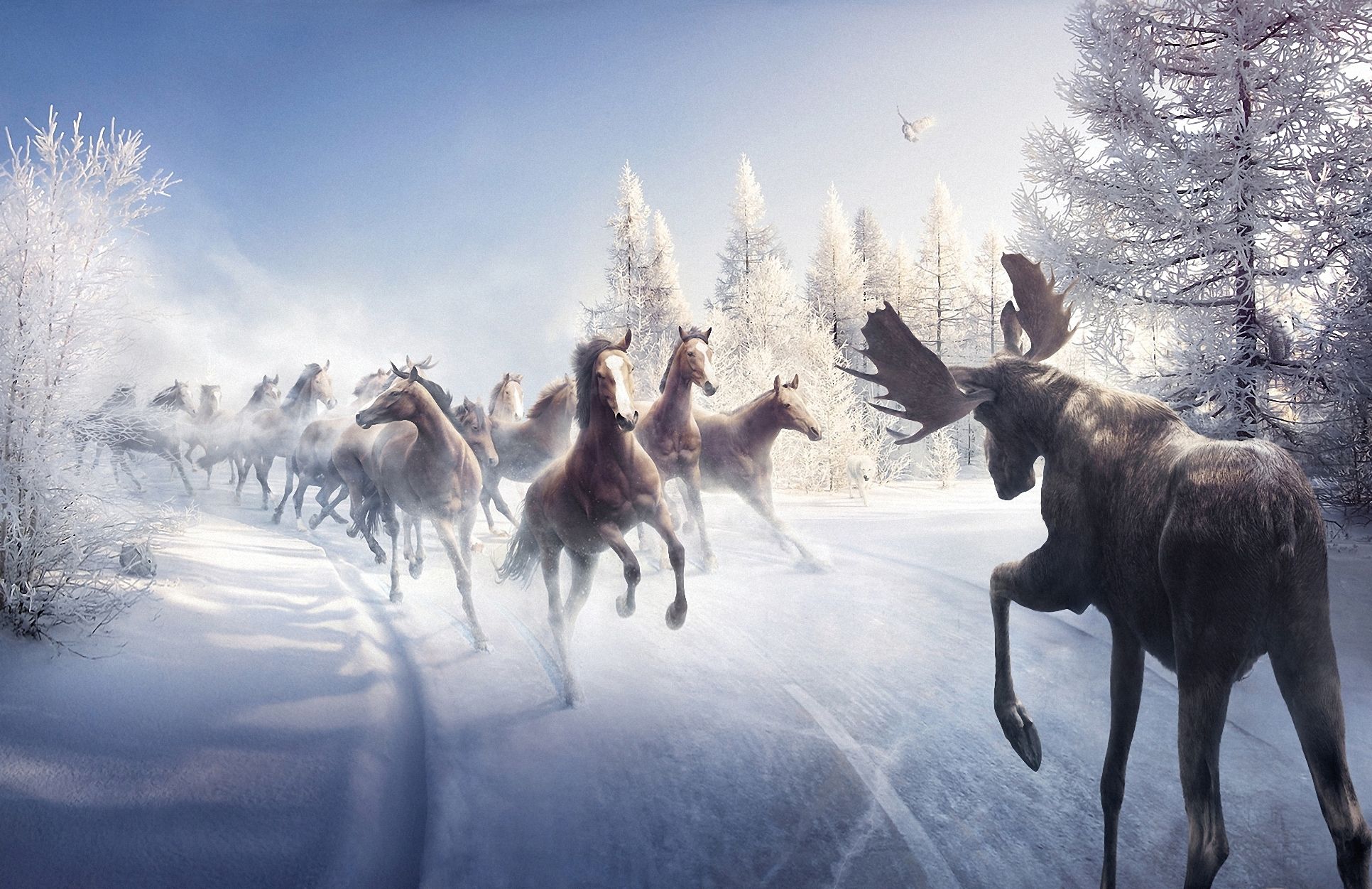 Battle animals art paintings nature landscapes winter snow trees horses moose wallpaperx1251