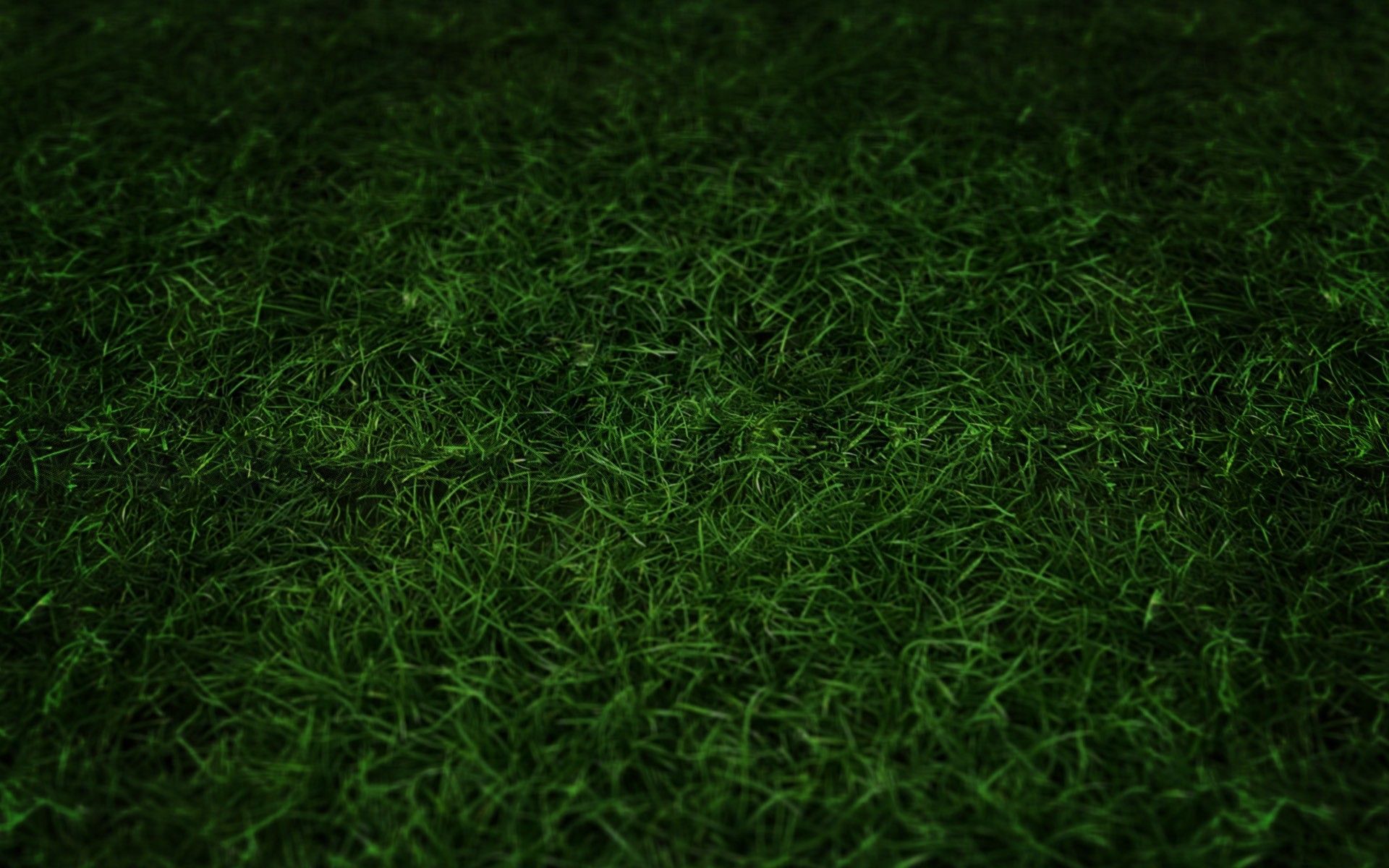 Grass Wallpaper