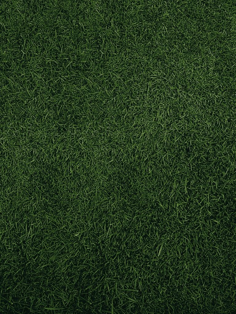 Artificial Turf Wallpaper & Background Download