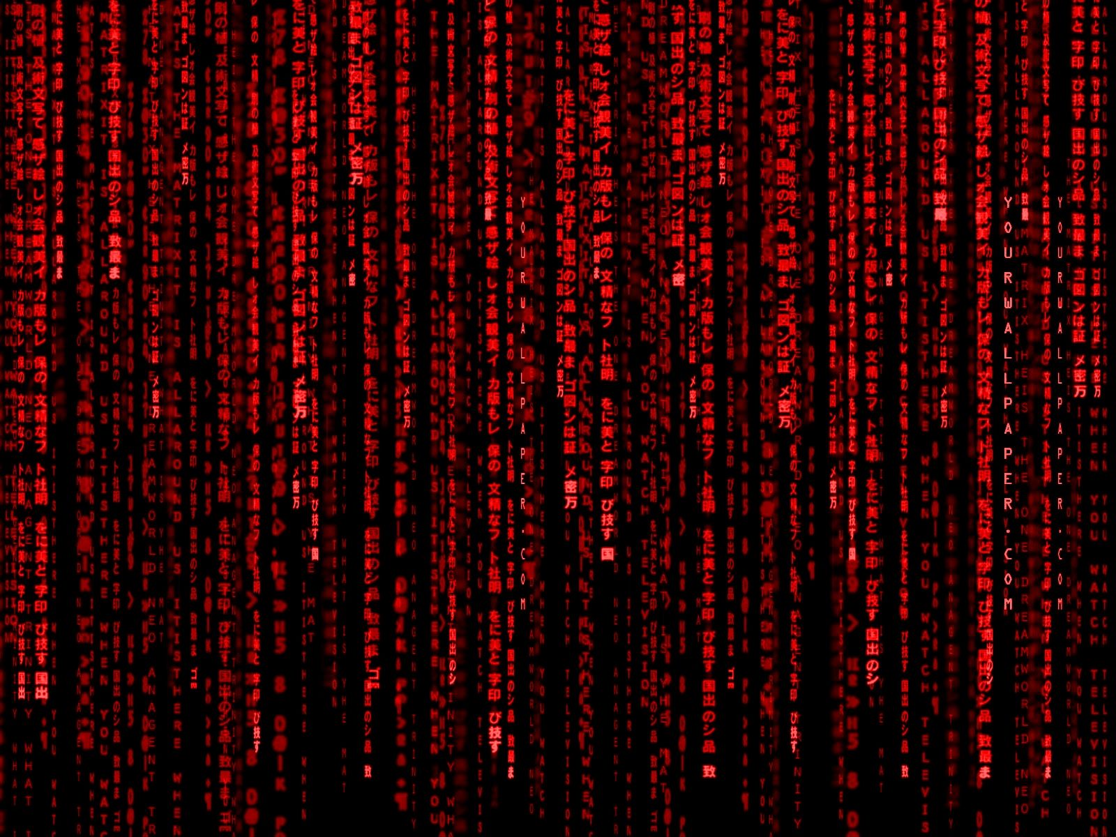 Free download Download Red Matrix Wallpaper 1600x1200 Wallpoper 414229 [1600x1200] for your Desktop, Mobile & Tablet. Explore Coding HD Wallpaper. Code Geass Wallpaper HD, Coding Wallpaper, Blue Matrix Code Wallpaper Live