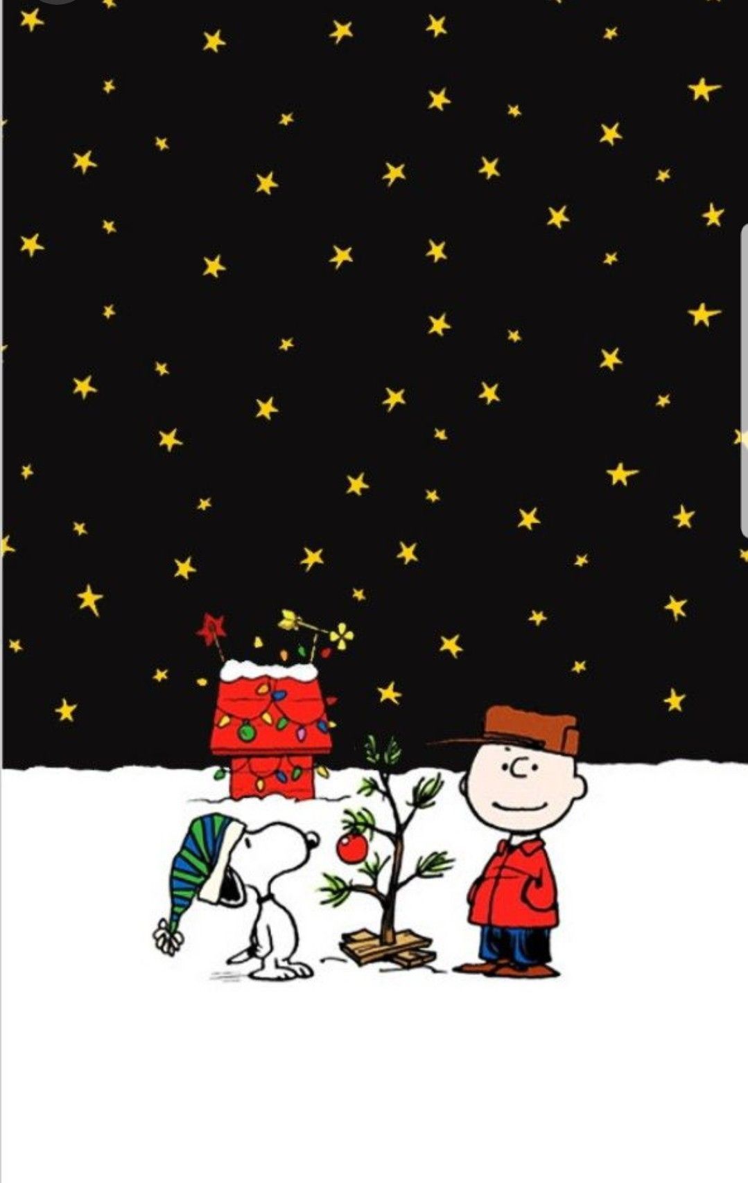 Charlie Brown Christmas. Snoopy wallpaper, Wallpaper iphone christmas, Christmas phone wallpaper