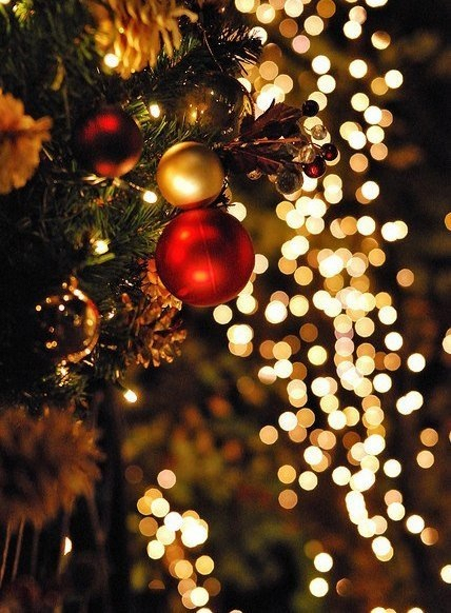 Winter ❄️. Christmas wallpaper, Christmas lights, Gold christmas