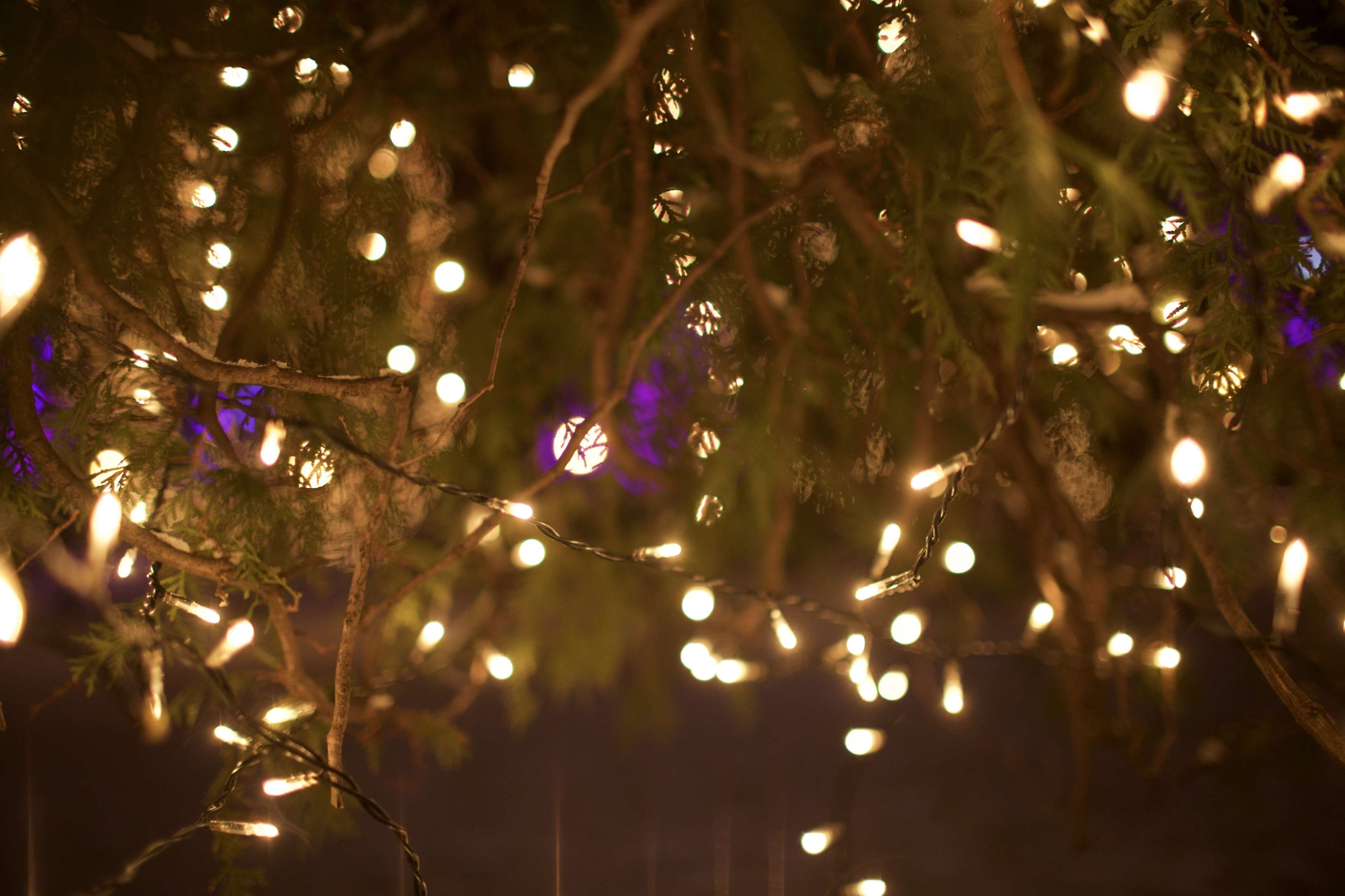 Gold Christmas Lights Wallpapers Wallpaper Cave