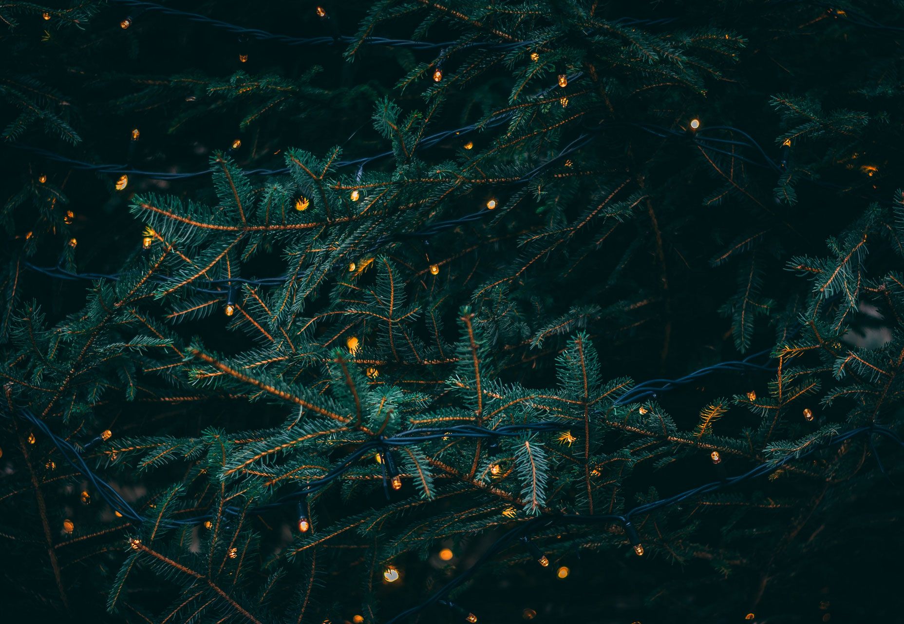 What's New for Designers, December 2018