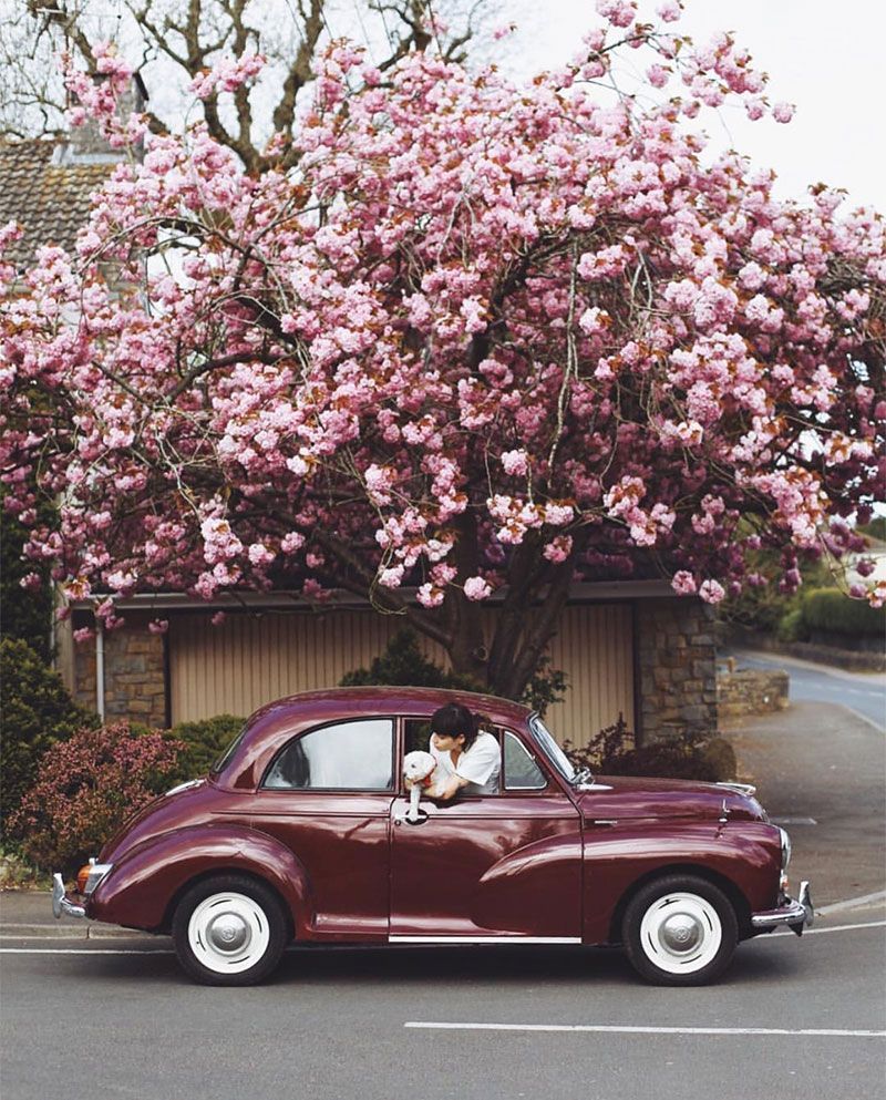 Supercars Gallery: Classic Car Aesthetic