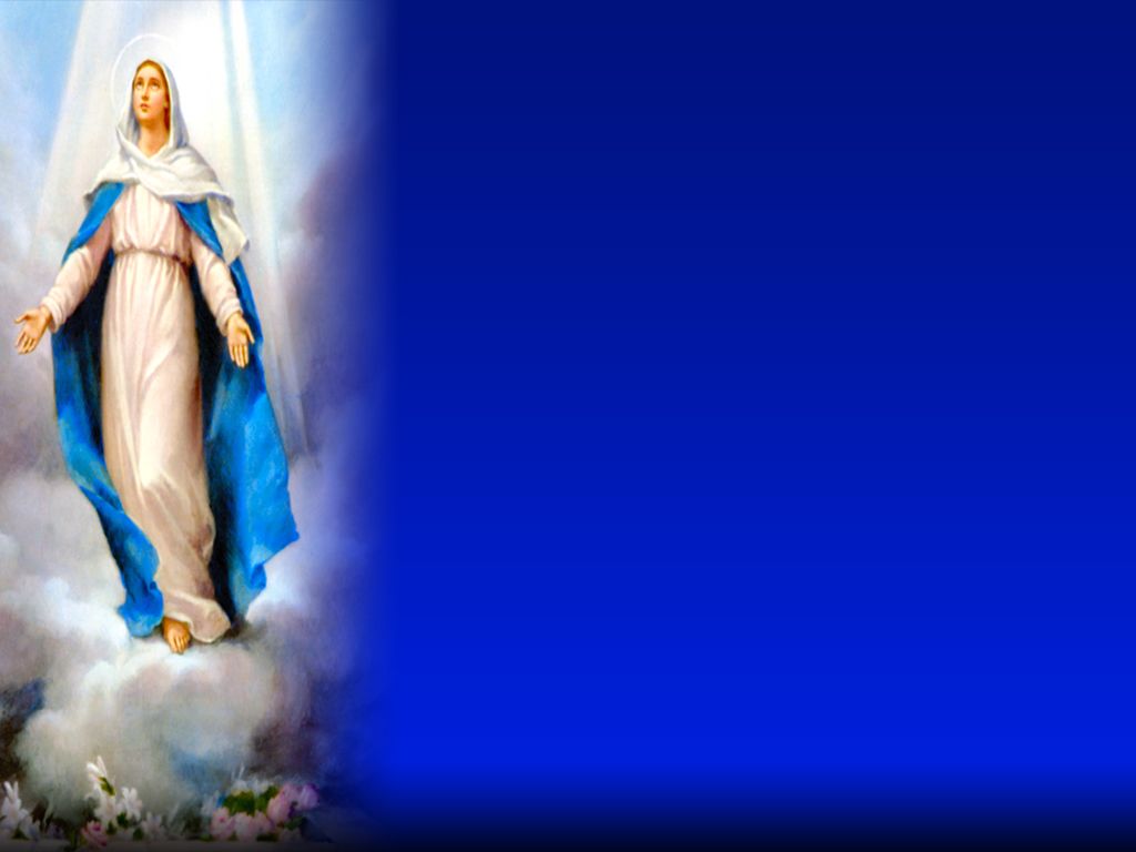 Holy Mass image.: THE ASSUMPTION OF THE BLESSED VIRGIN MARY INTO HEAVEN