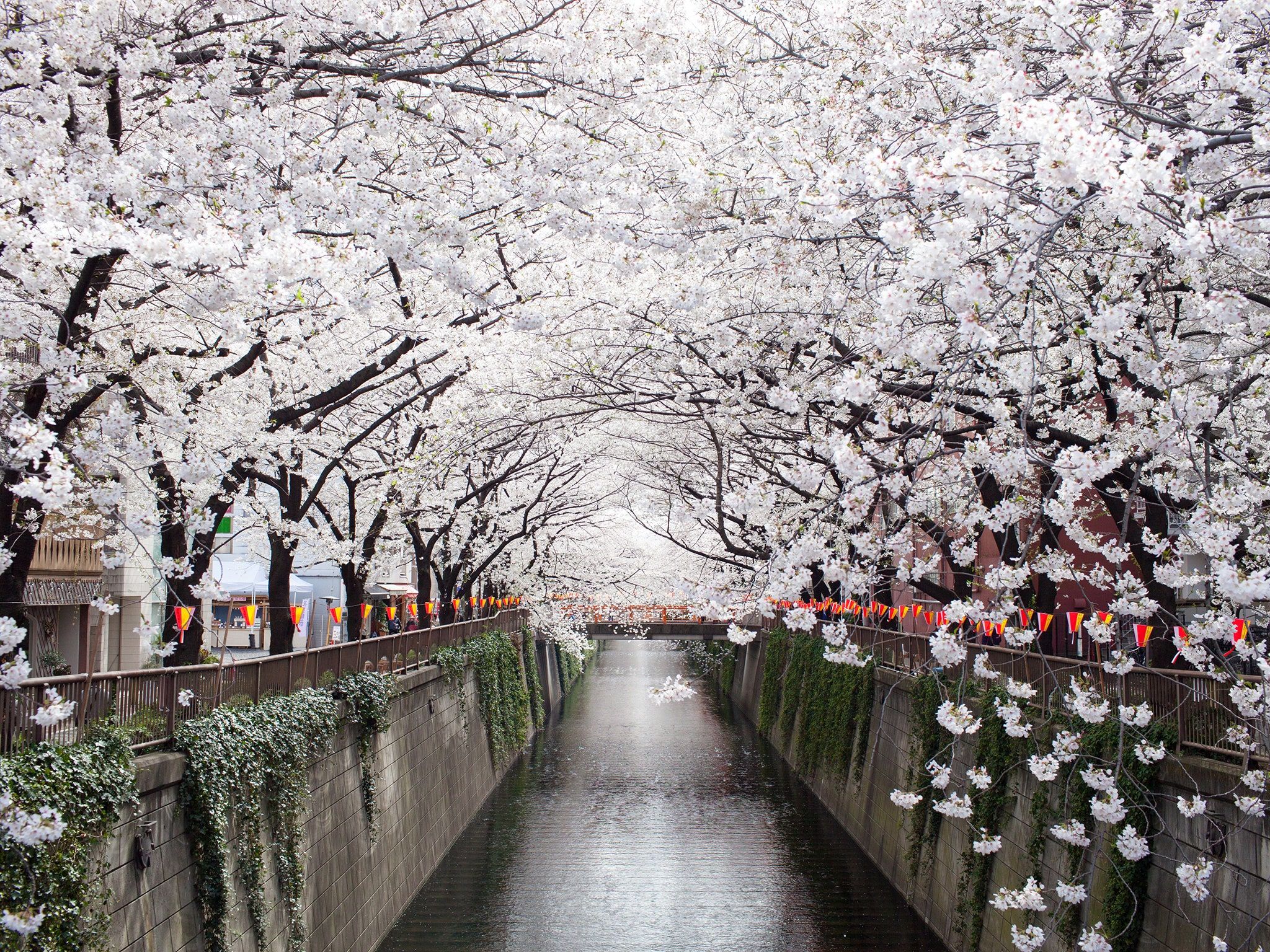 Most Beautiful Places in Japan. Condé Nast Traveler