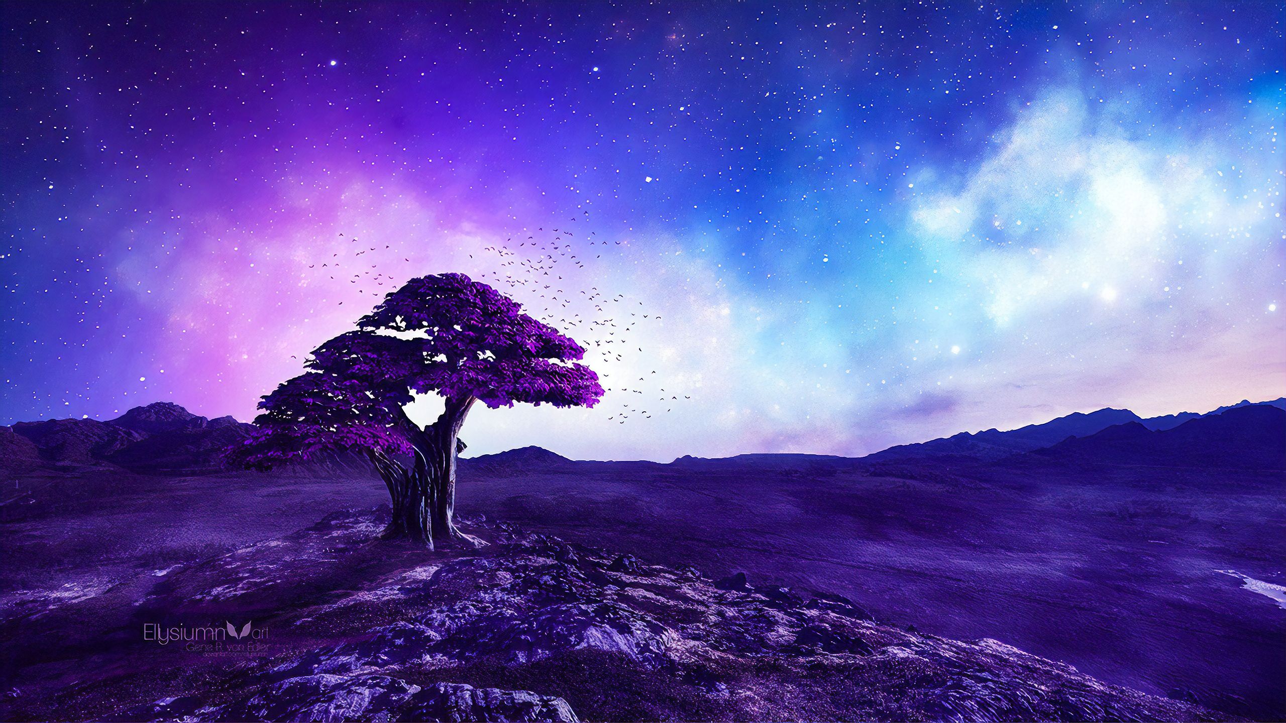 Purple Tree Stories 1440P Resolution HD 4k Wallpaper, Image, Background, Photo and Picture