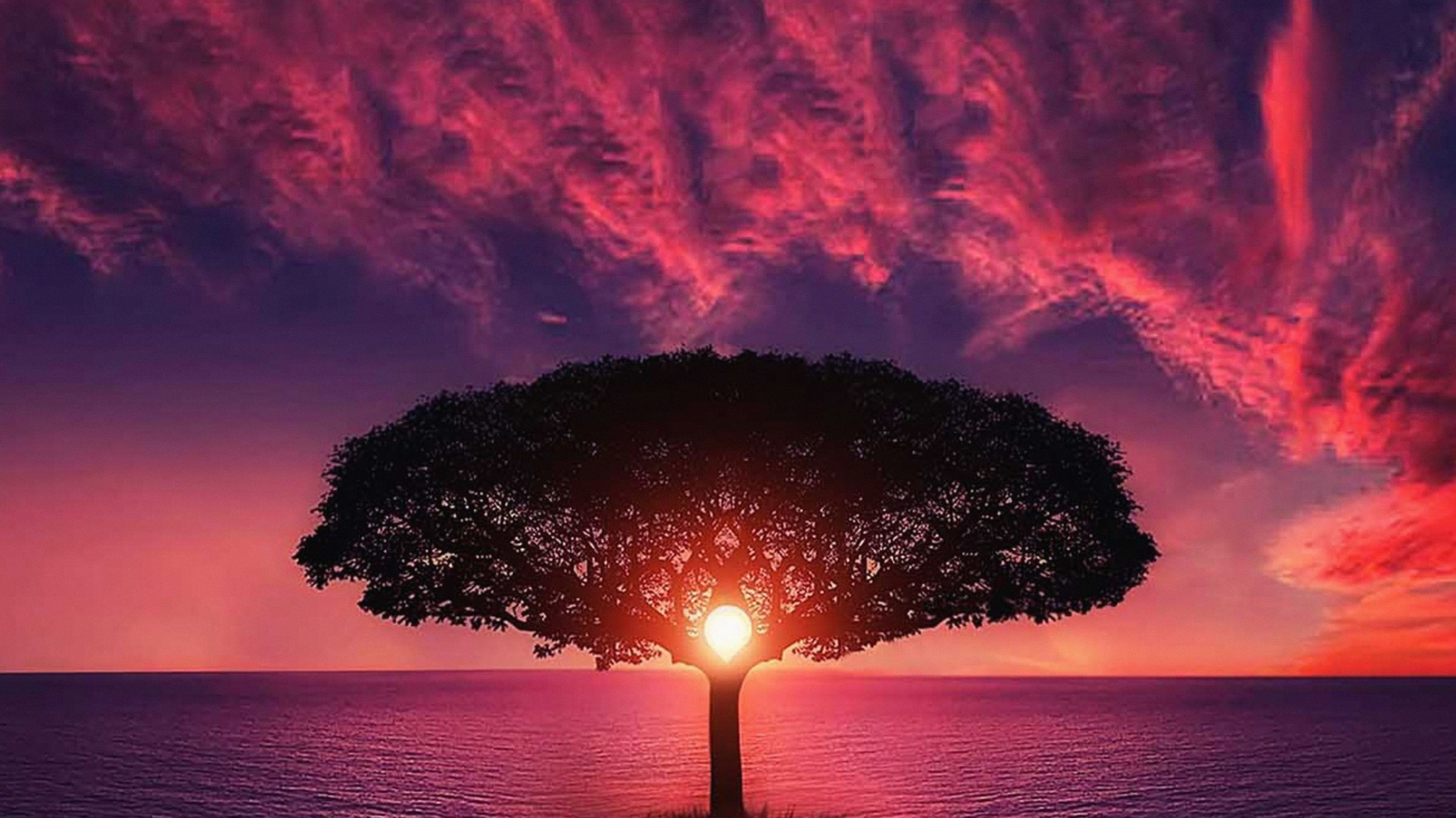 Sea Tree Purple Sky Nature Wallpaper