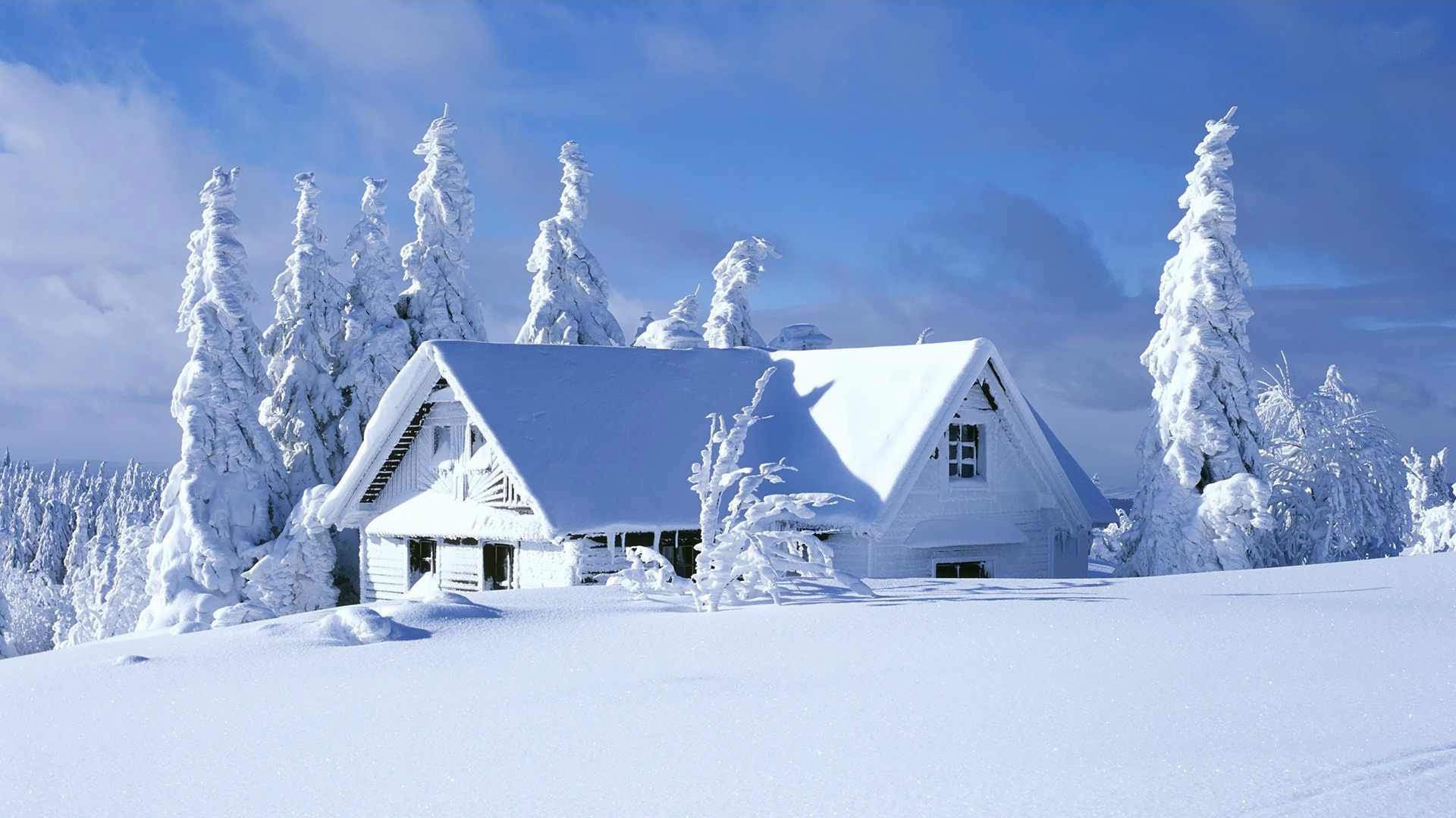 Snow House Scenery