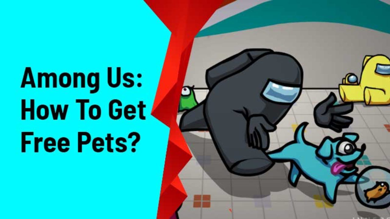 Among Us Free Pet, How To Get All Pets Maps Skins Hats Free On Among Us Android Outdated Eng Sub Youtube