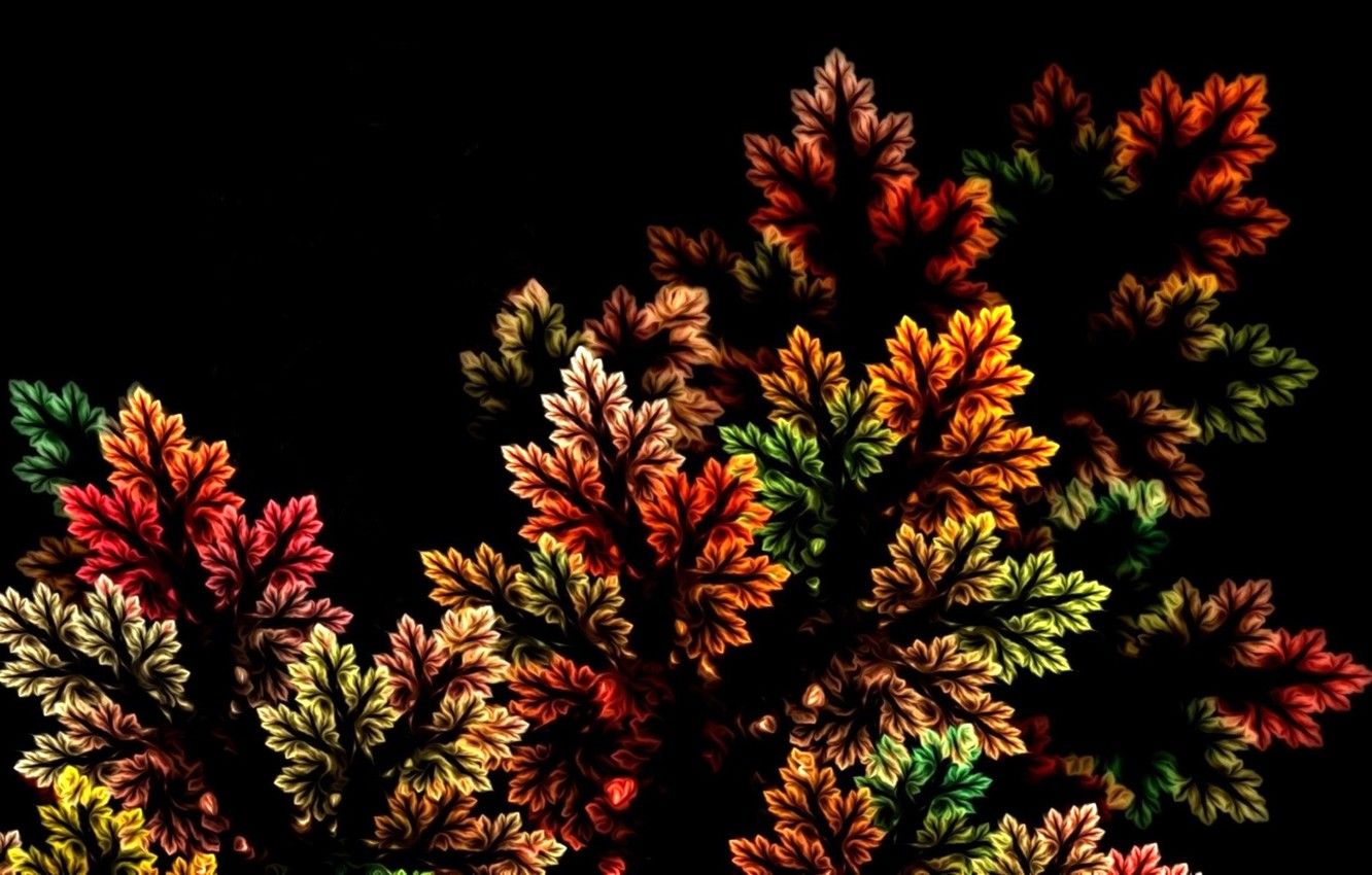 Wallpaper autumn, leaves, nature, abstraction, rendering, fractal, black background, picture, autumn palette image for desktop, section рендеринг