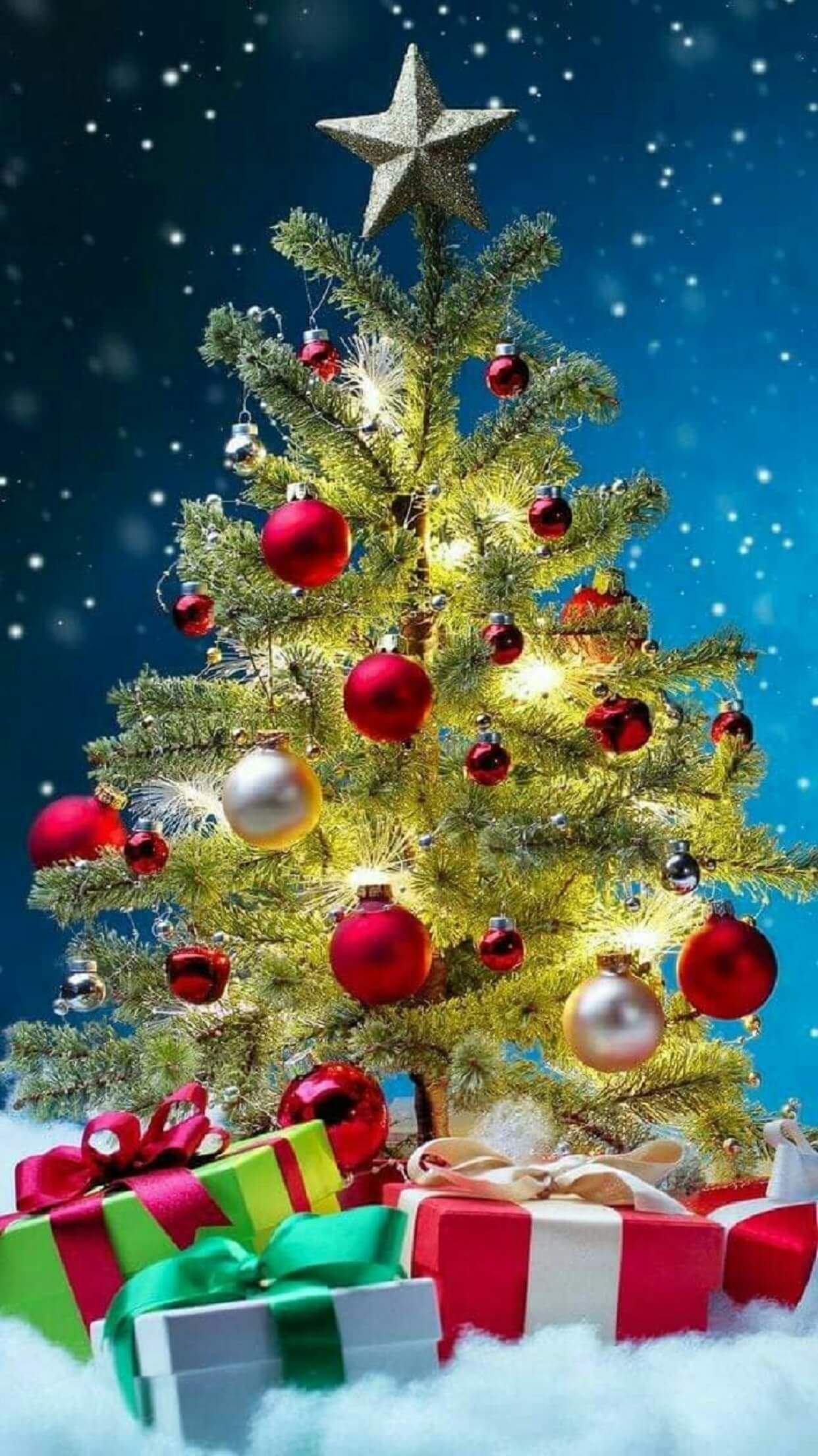 Christmas Photo, Beautiful, Christmas, Decoration, Image, Star, Tree, White, Events