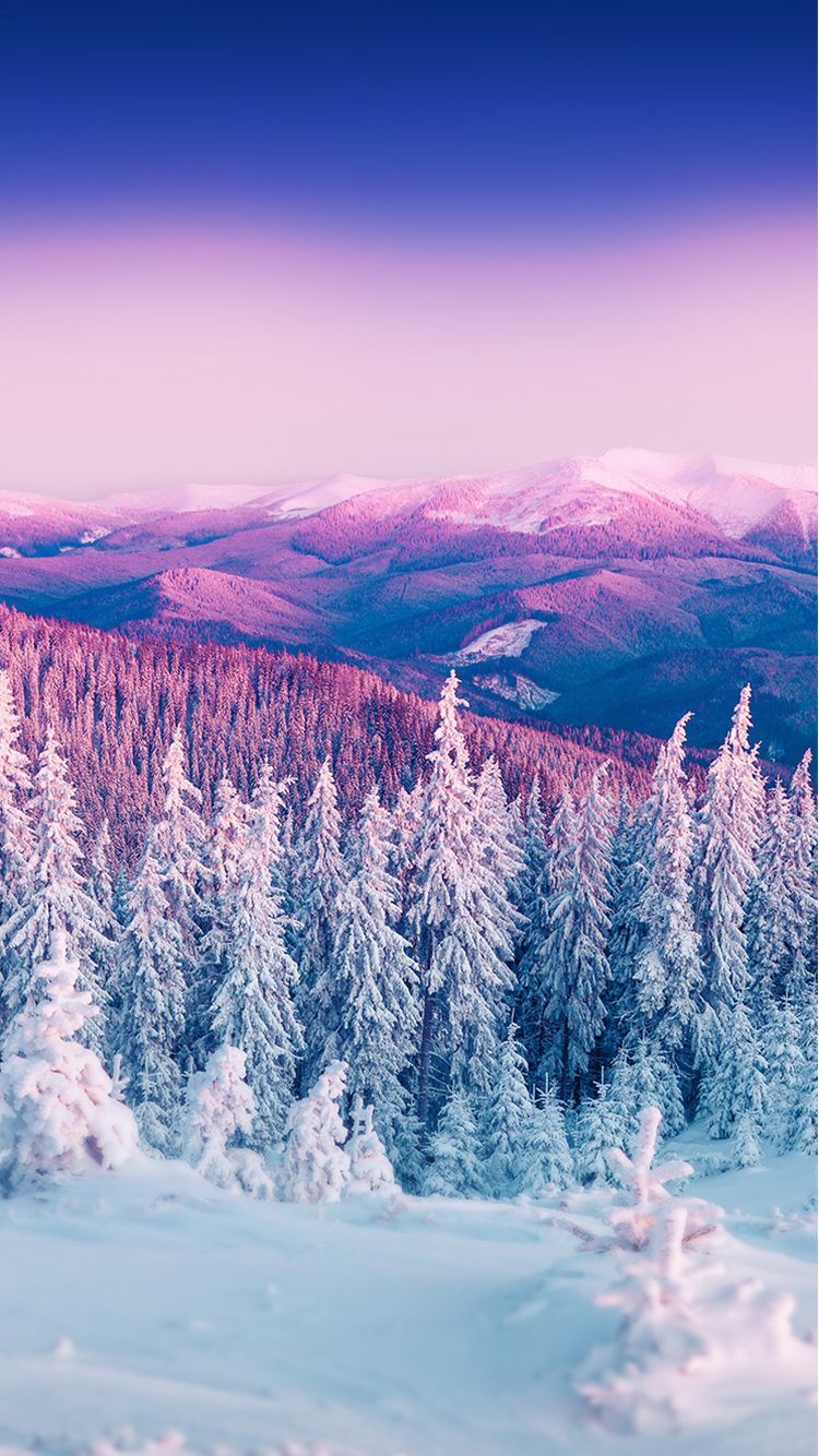 Purple Winter Mountain Landscape iPhone 6 Wallpapers