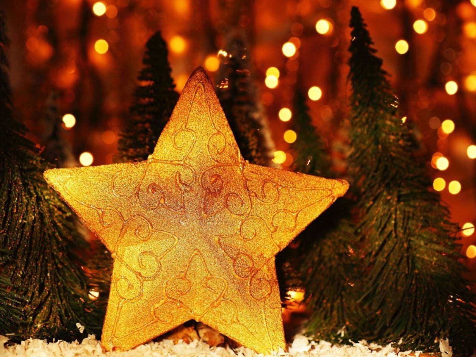Christmas Tree And Star HD Wallpaper. All is Wall