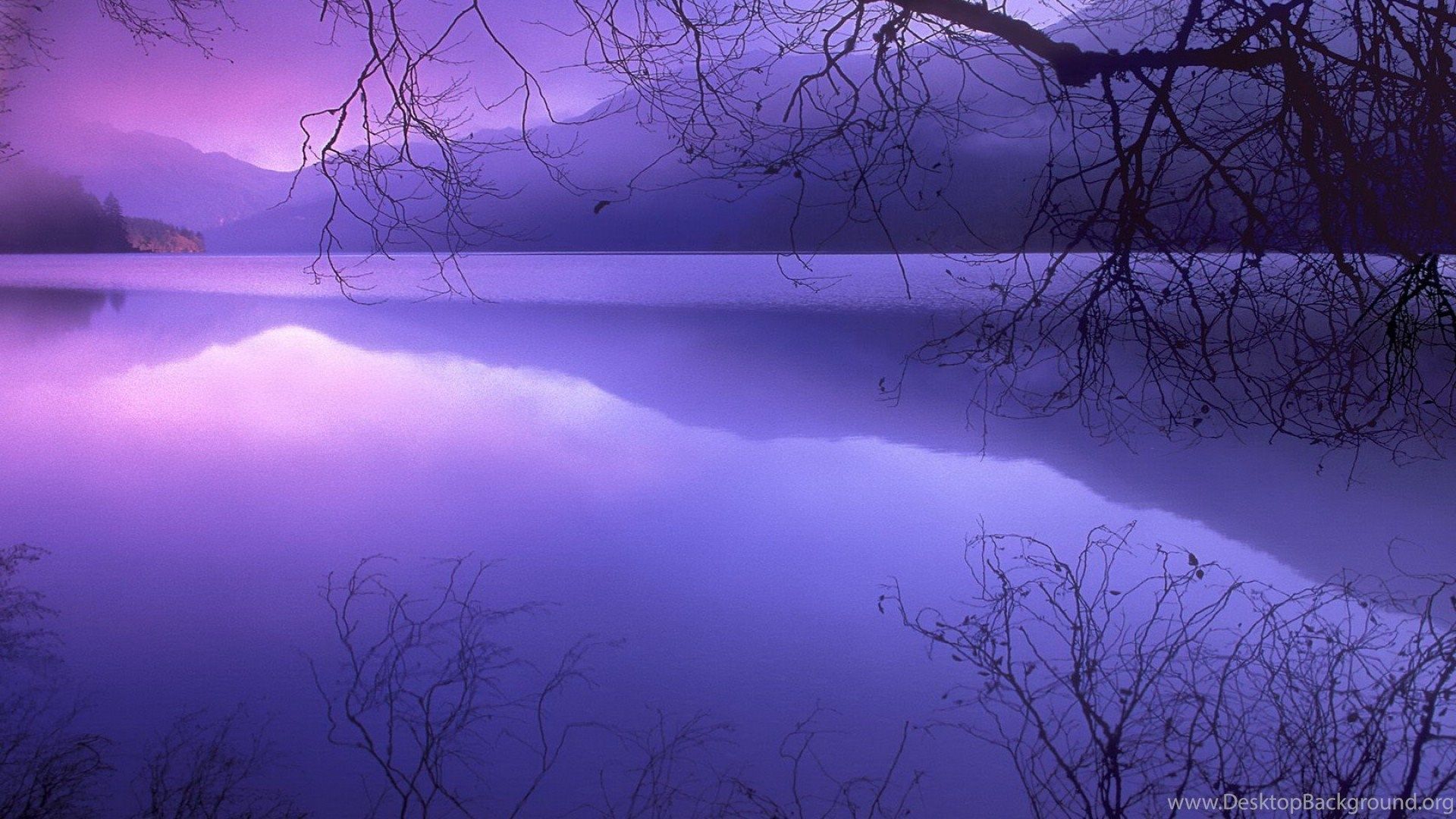Purple Haze, Winter, 1920x1080 HD Wallpaper And FREE Desktop Background