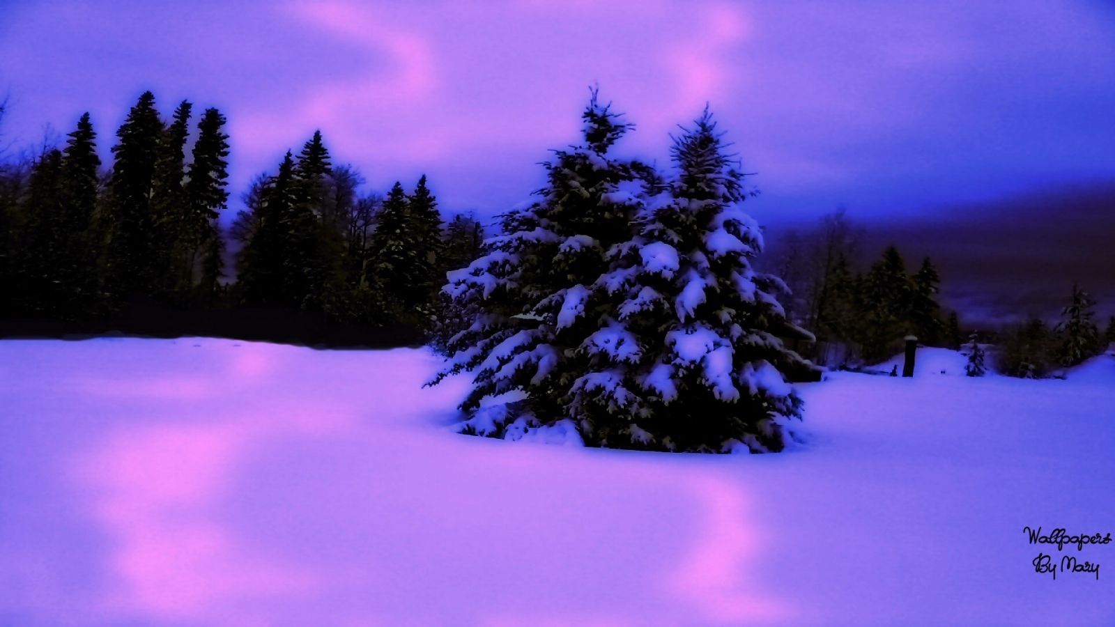 Free download Pink And Purple Winter 1920x1080 wallpaper ForWallpapercom [1920x1080] for your Desktop, Mobile & Tablet. Explore Purple Winter Wallpaper. Pink And Purple Wallpaper, Purple Desktop Wallpaper, Purple Wallpaper Background
