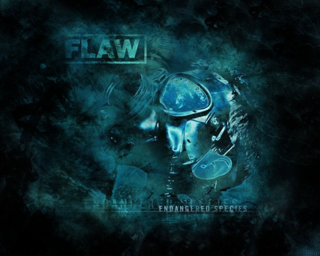 Flaw Wallpaper. Flaw Wallpaper, Flaw Band Wallpaper and Fedel Flaw Wallpaper