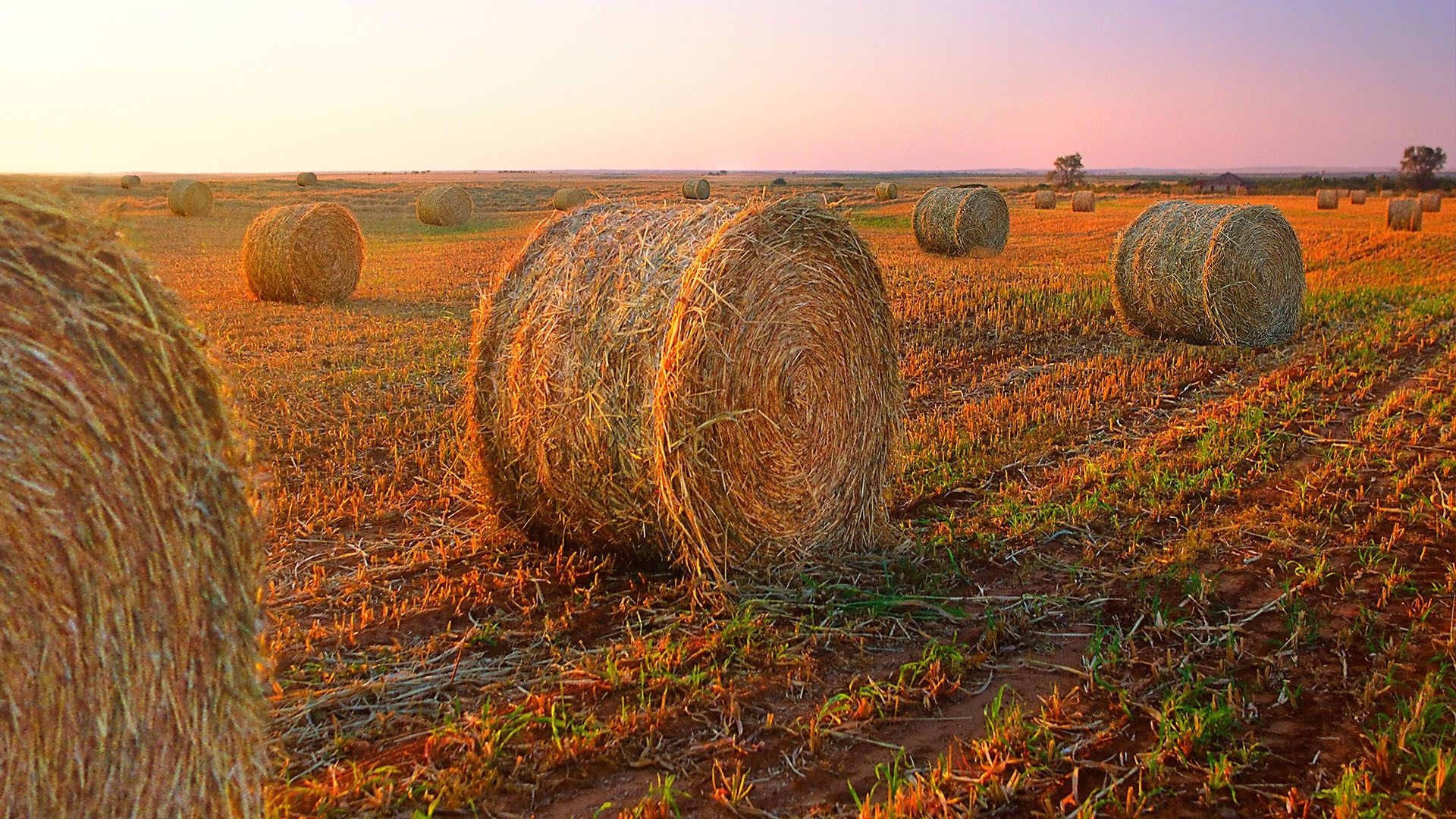 Hay Bales Wallpapers Wallpaper Cave