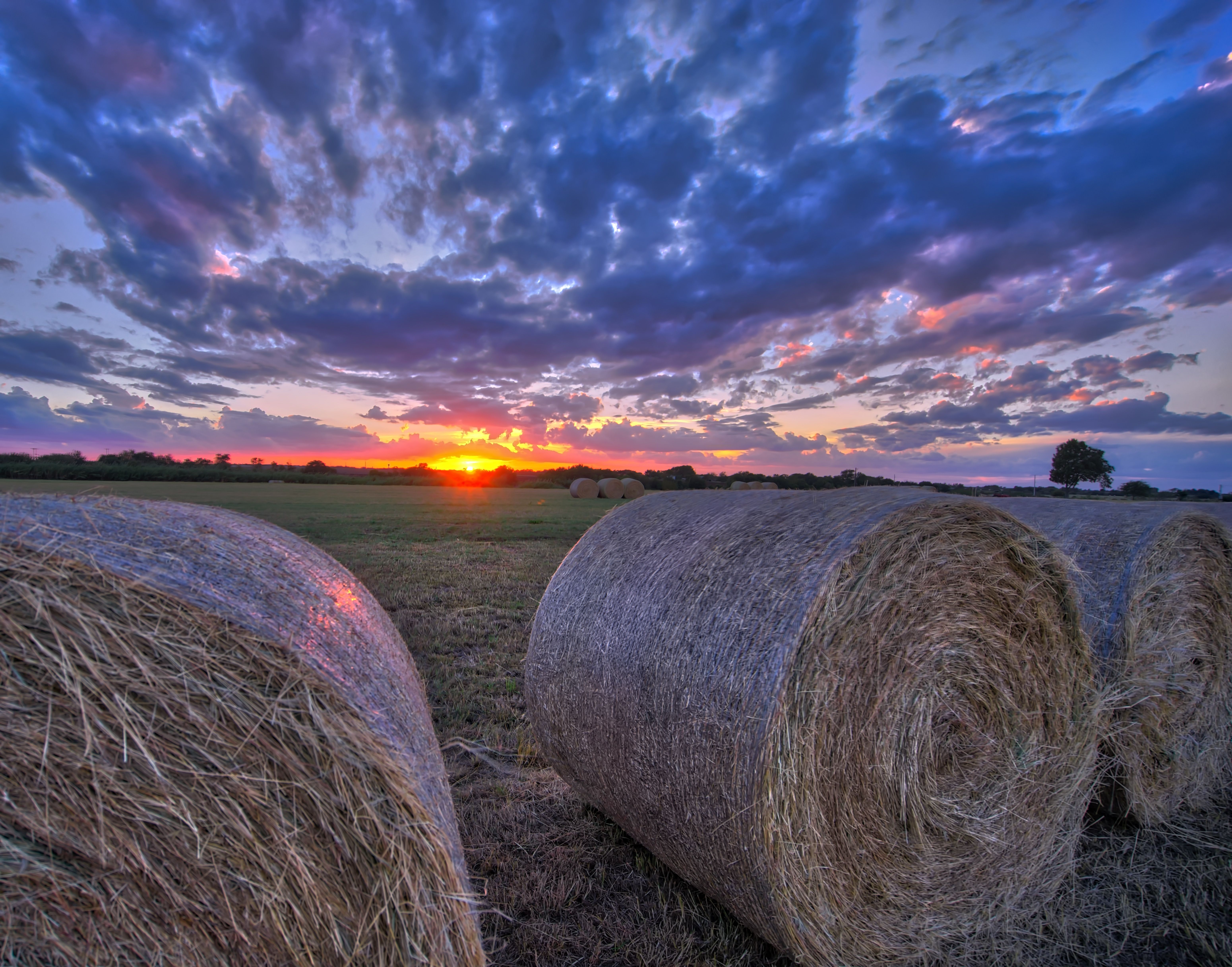 Hay Bales at Sunset free image