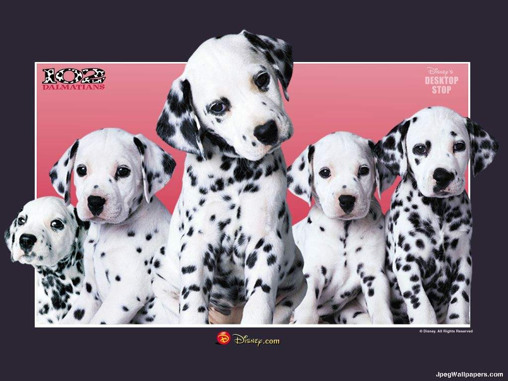 101 Dalmatians Wallpaper