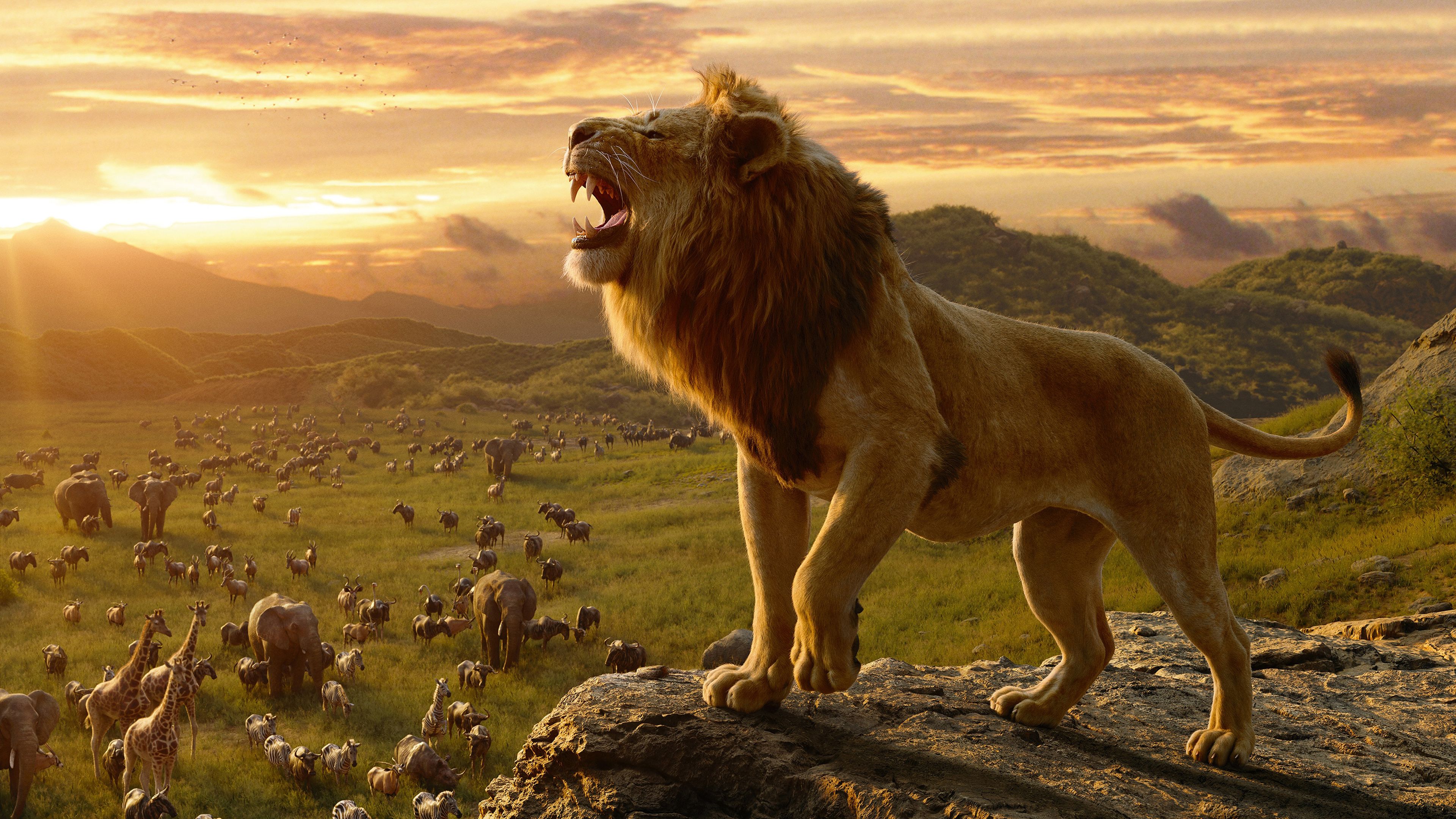 Simba in The Lion King 4K Wallpaper