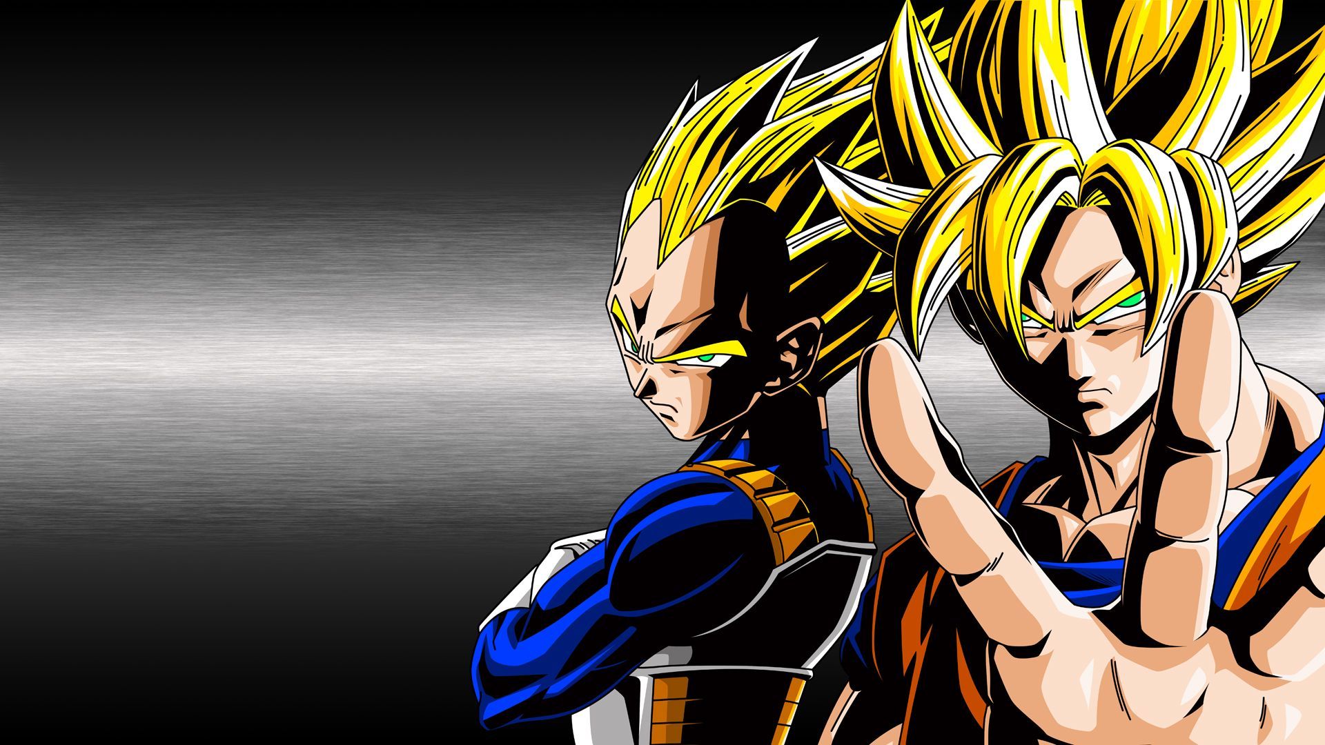 Goku and Vegeta Super Saiyan God Fusion