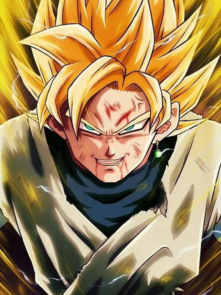 Goku Vegeta Fusion DBS Wallpaper for Android