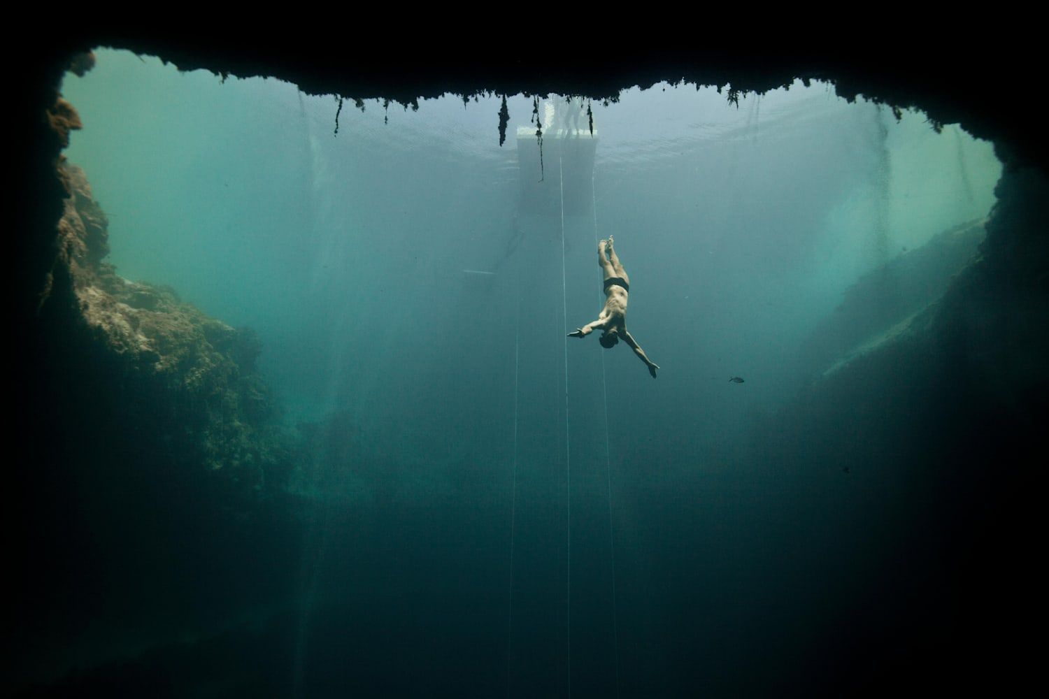 Freediving photo: Incredible image to inspire