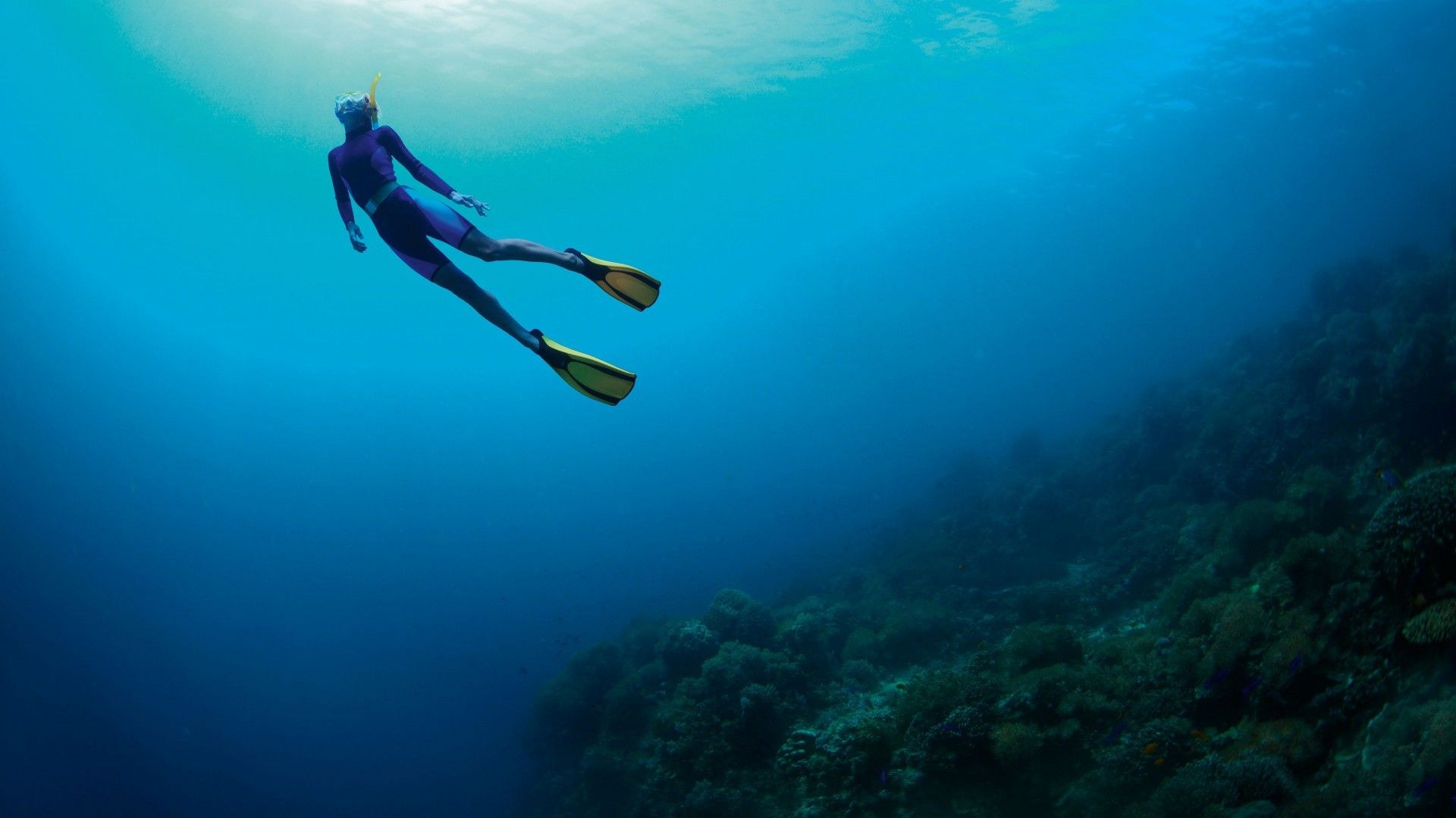 Free Diving Data Src Top Freediving Wallpaper For