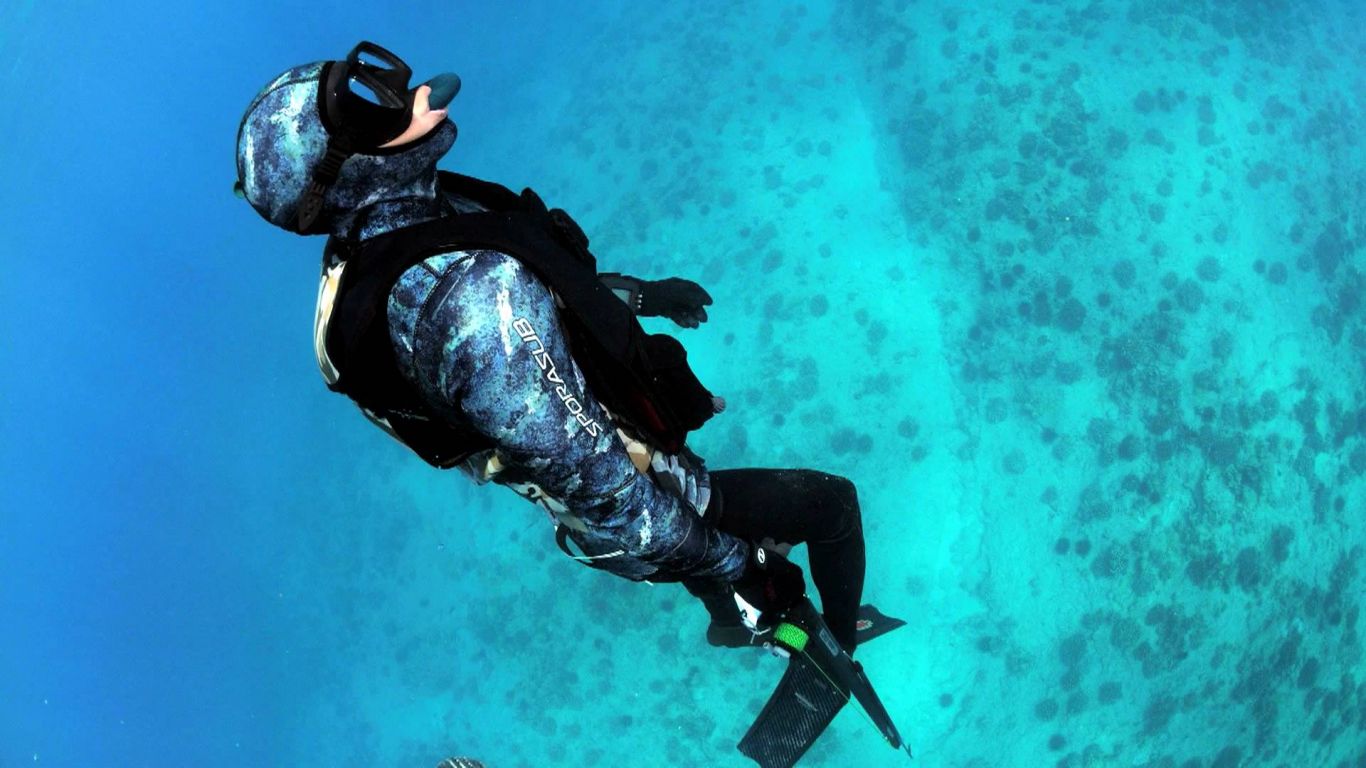 Free download Freediving Video Freedivers Recovery Vest FRV Shark Freediving [1920x1080] for your Desktop, Mobile & Tablet. Explore Freediving Wallpaper. Freediving Wallpaper