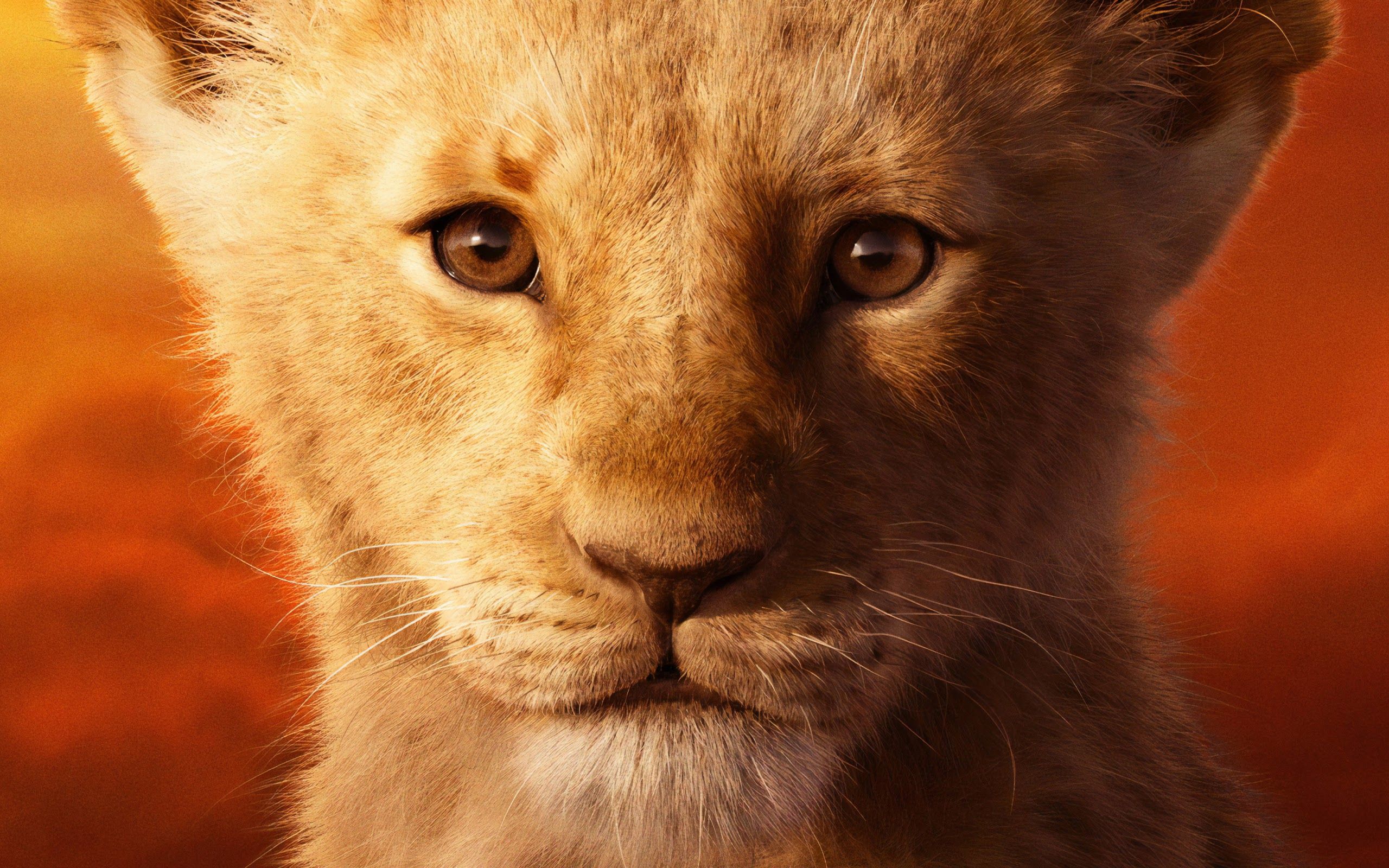 The Lion King 2019 Simba 4K Wallpaper