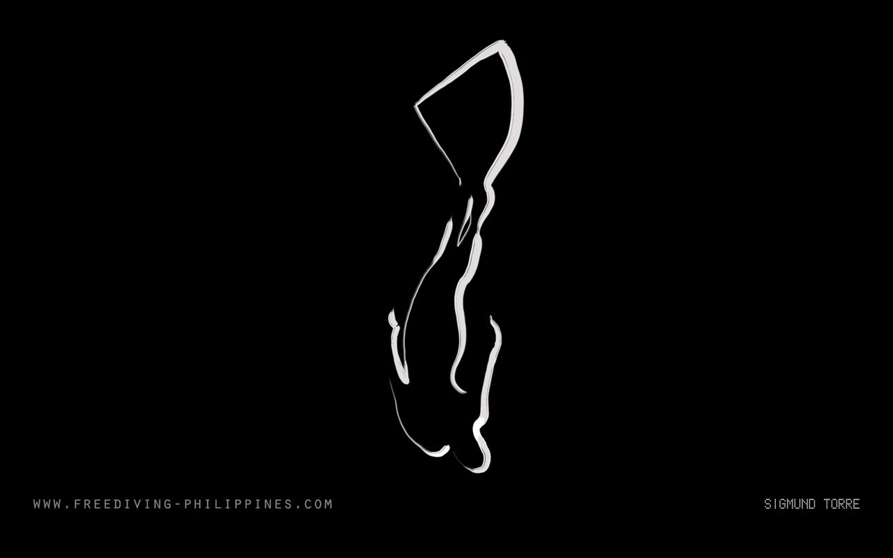 Download Freediving Desktop Background