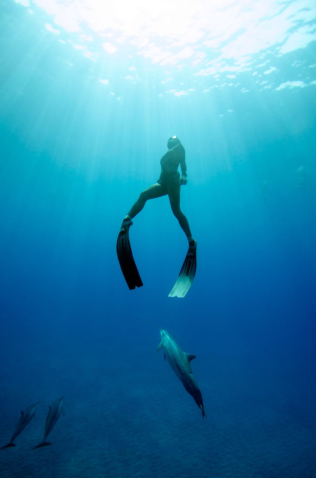 Freediving Wallpapers - Wallpaper Cave