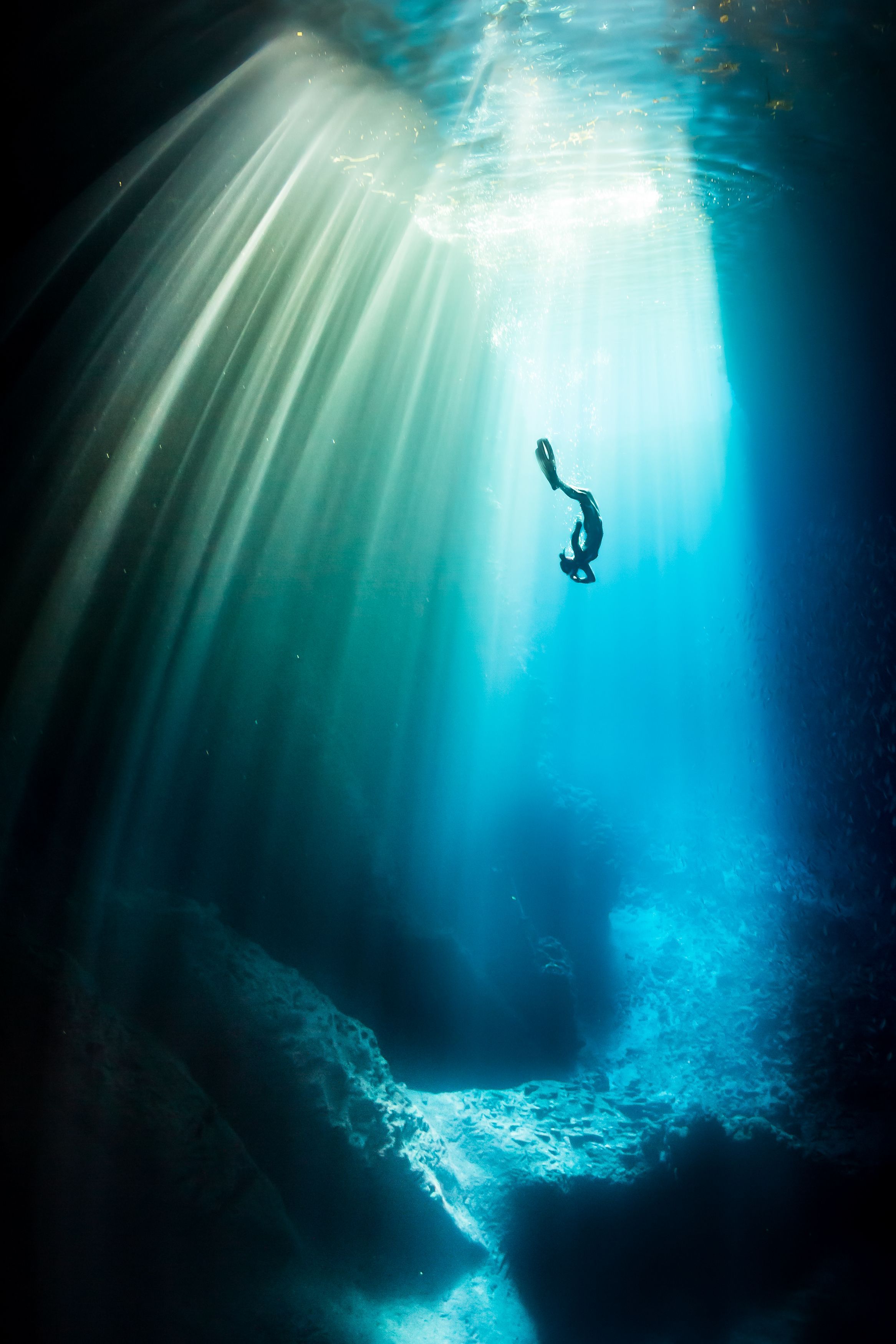 Freediving Wallpaper