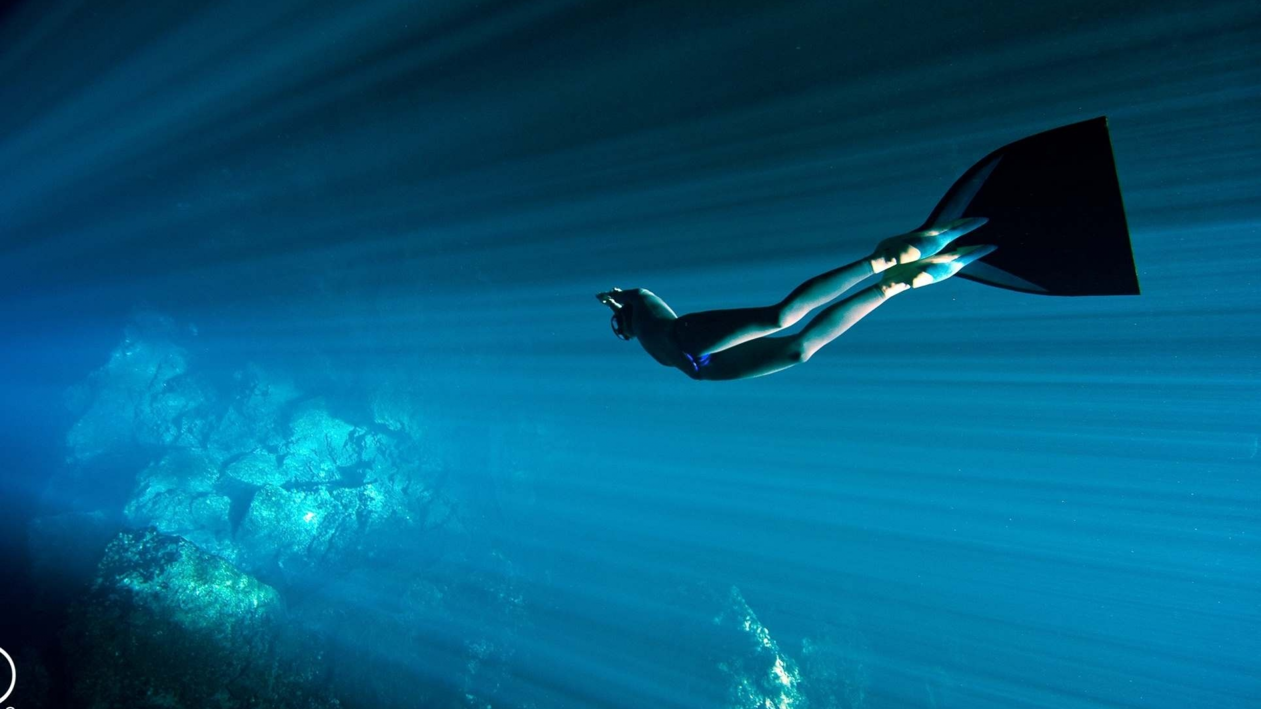 Download 2560x1440 freediving, photo, underwater, diving, ocean, diving suit Wallpaper