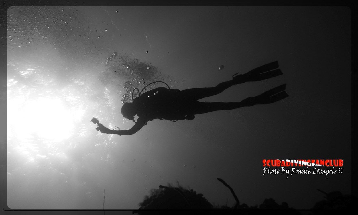 Scuba Diving Wallpaper Free Diving Wallpaper. Scuba Diving Quotes, Scuba Diving Gear, Scuba Diving