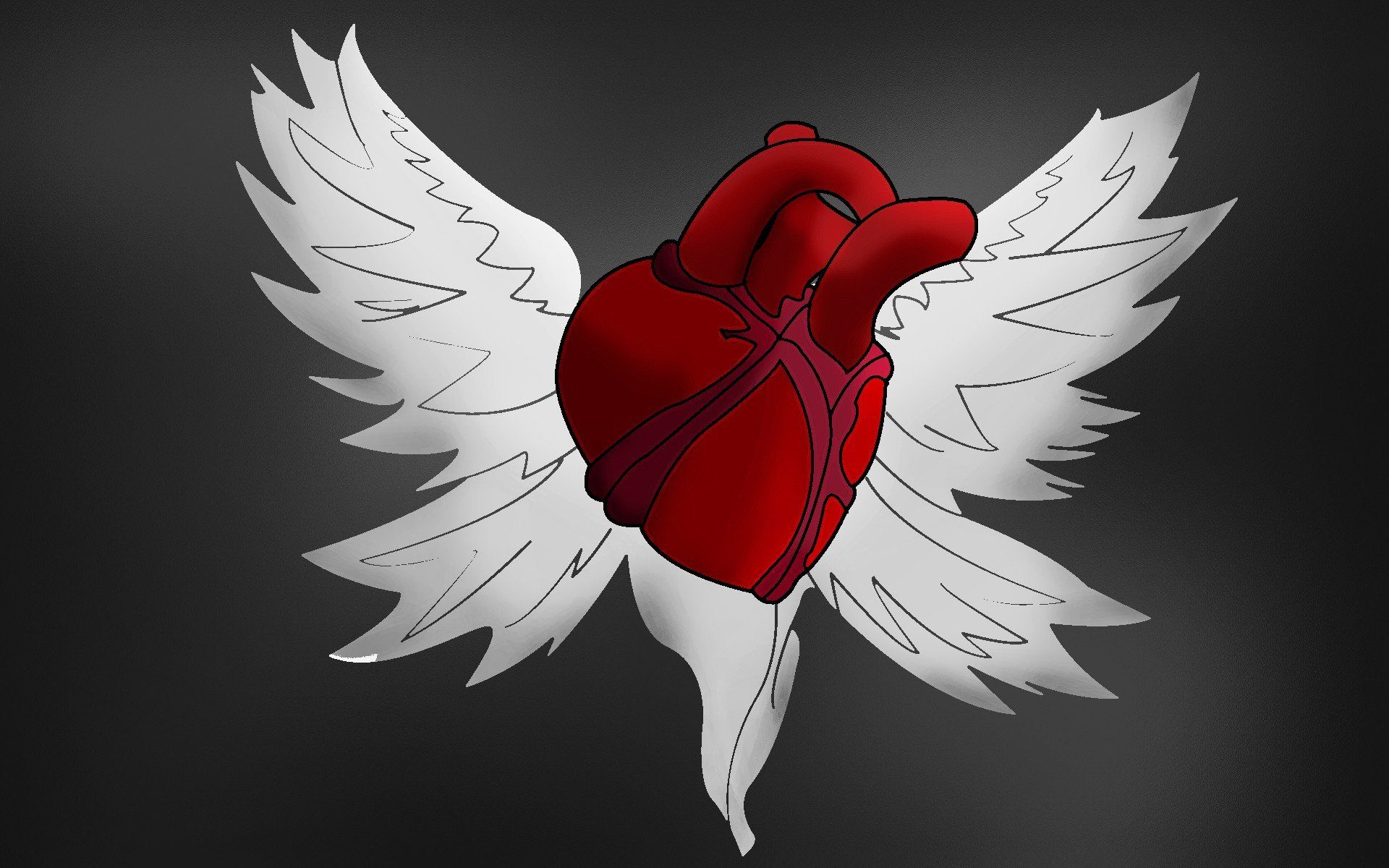 heart, Organs, Wings, Humanized Wallpaper HD / Desktop and Mobile Background