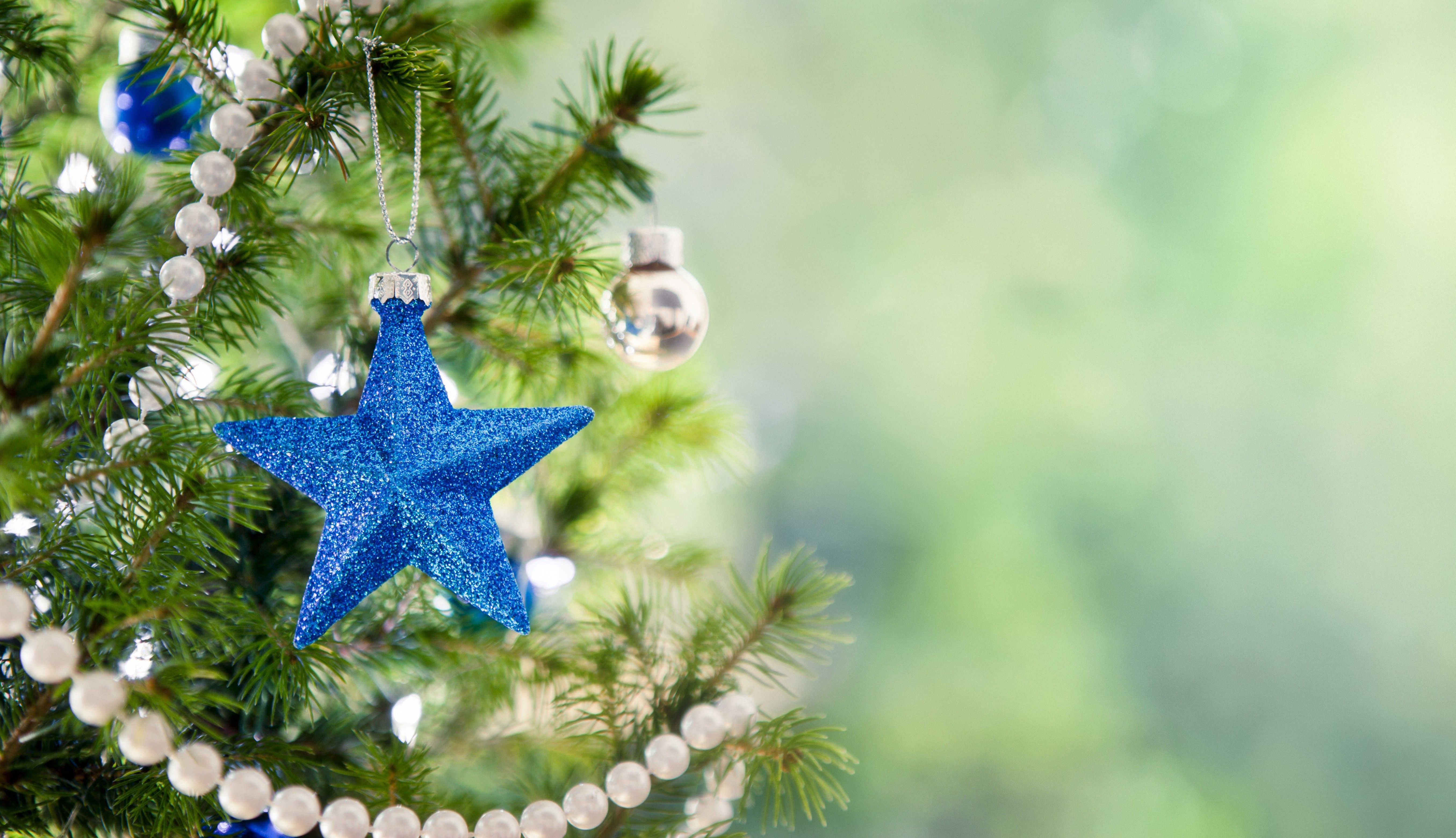 Blue star on the Christmas tree on Christmas Desktop wallpaper 1920x1200