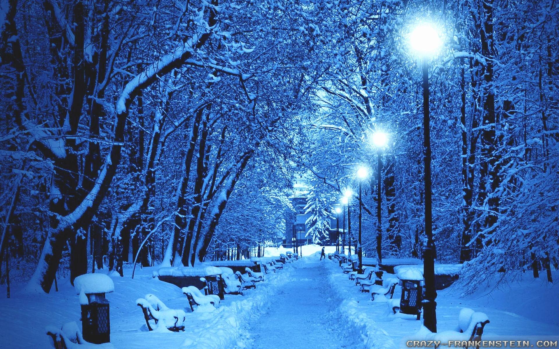 night beautiful snow scenery
