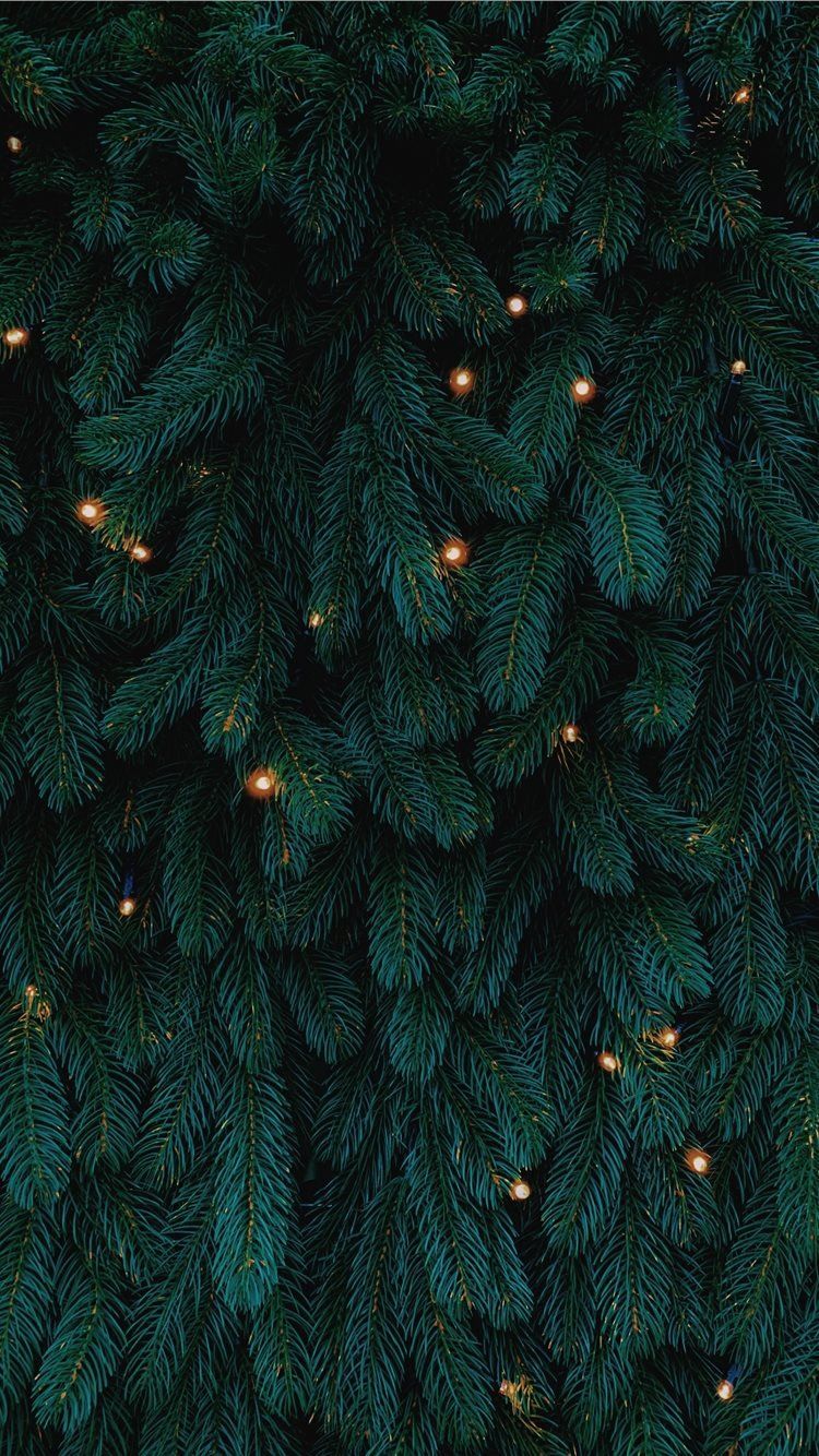 green Christmas tree with lights iPhone 8 Wallpaper Free Download