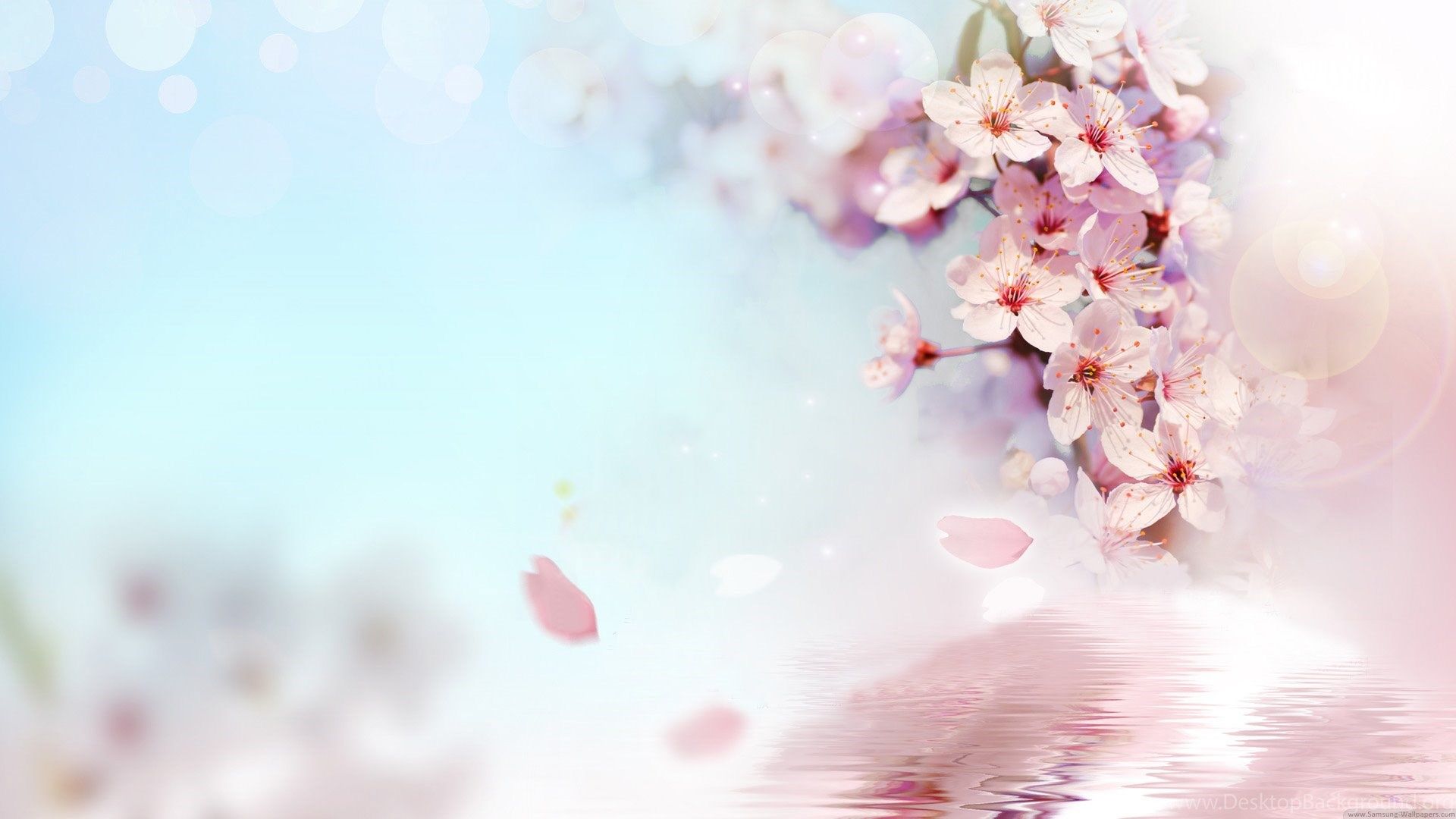 Peach Blossom Wallpapers - Wallpaper Cave