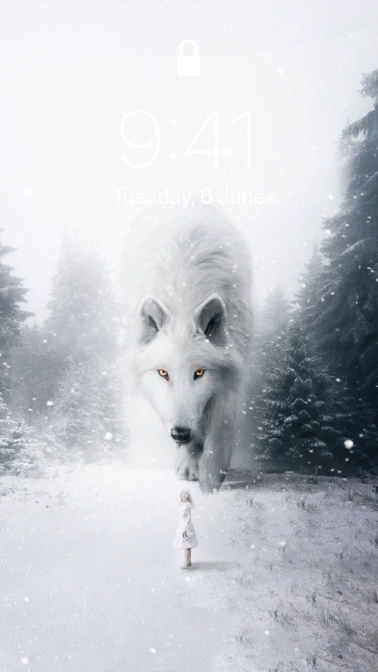 wolf snow white background wallpaper HD iPhone iPad. Wolf wallpaper, Wolf background, White background wallpaper