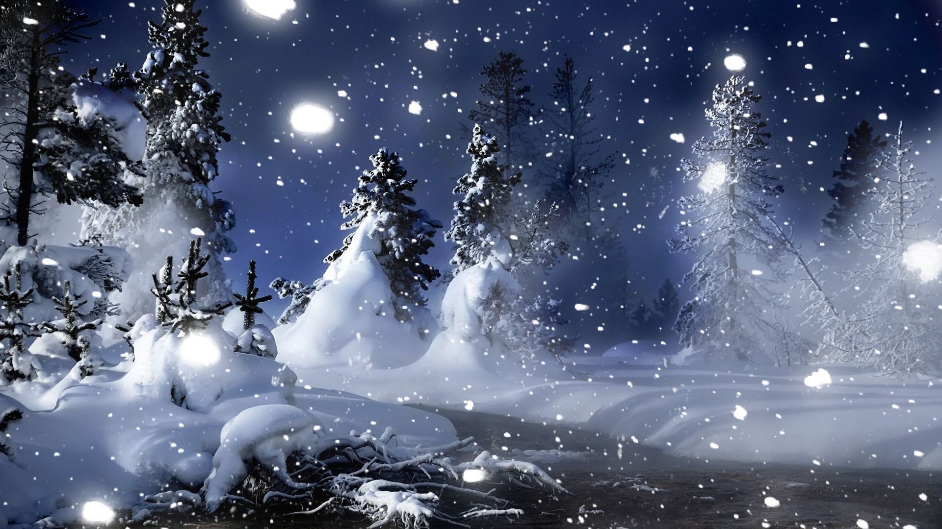 Winter Scene At Night Wallpaper